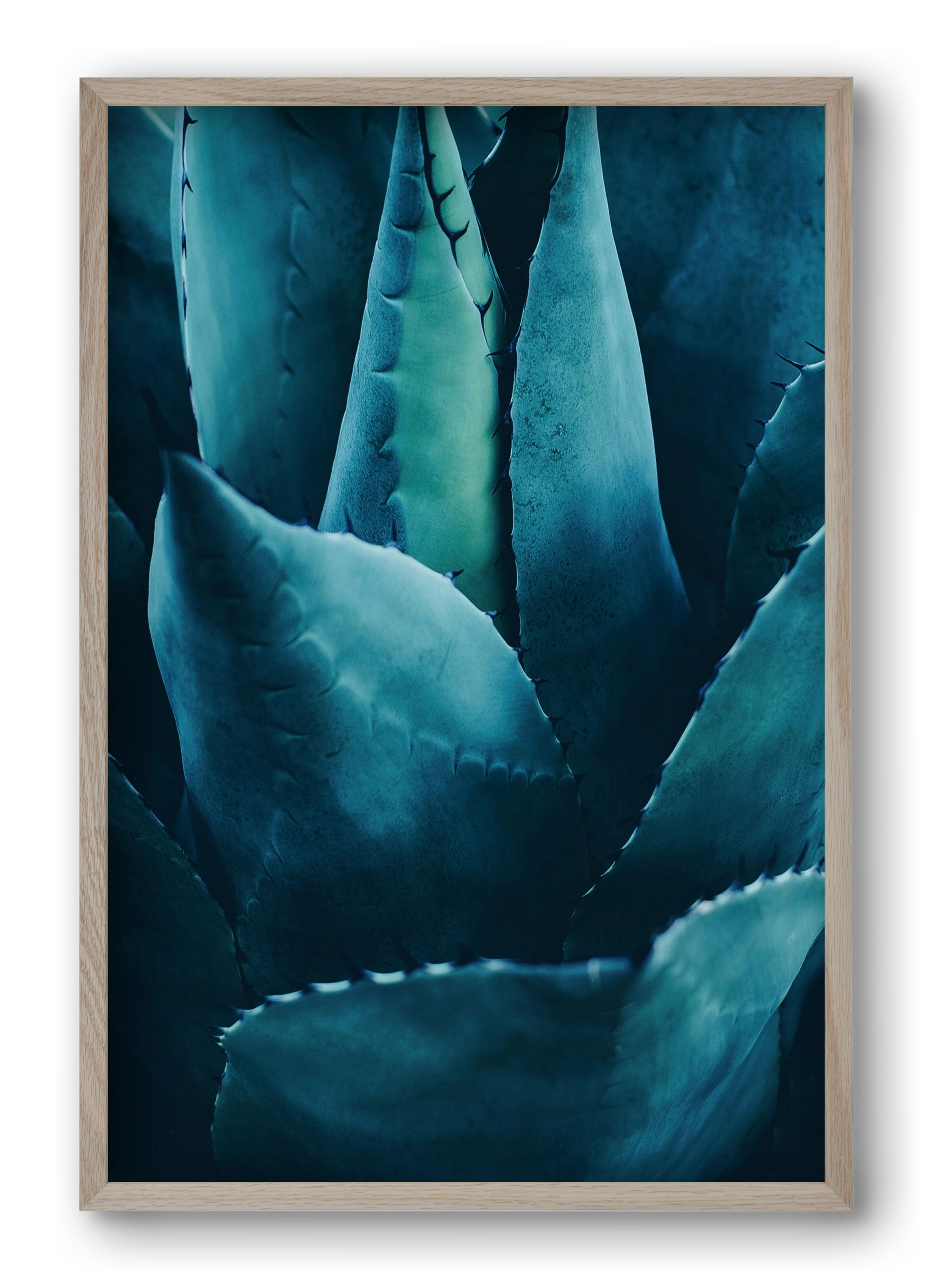Cactus no. 4, 40x60 cm (40x60 cm), Tölgy keret