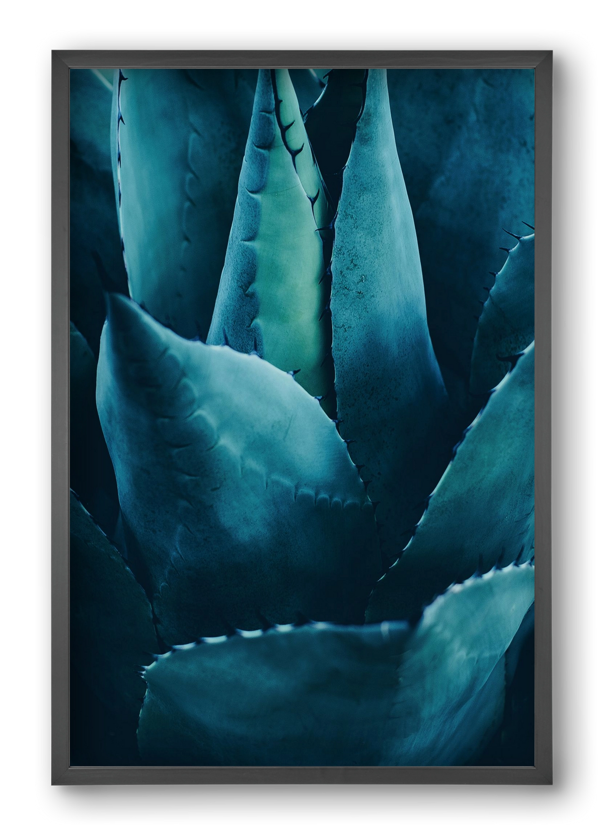 Cactus no. 4, 40x60 cm (40x60 cm), Fekete keret
