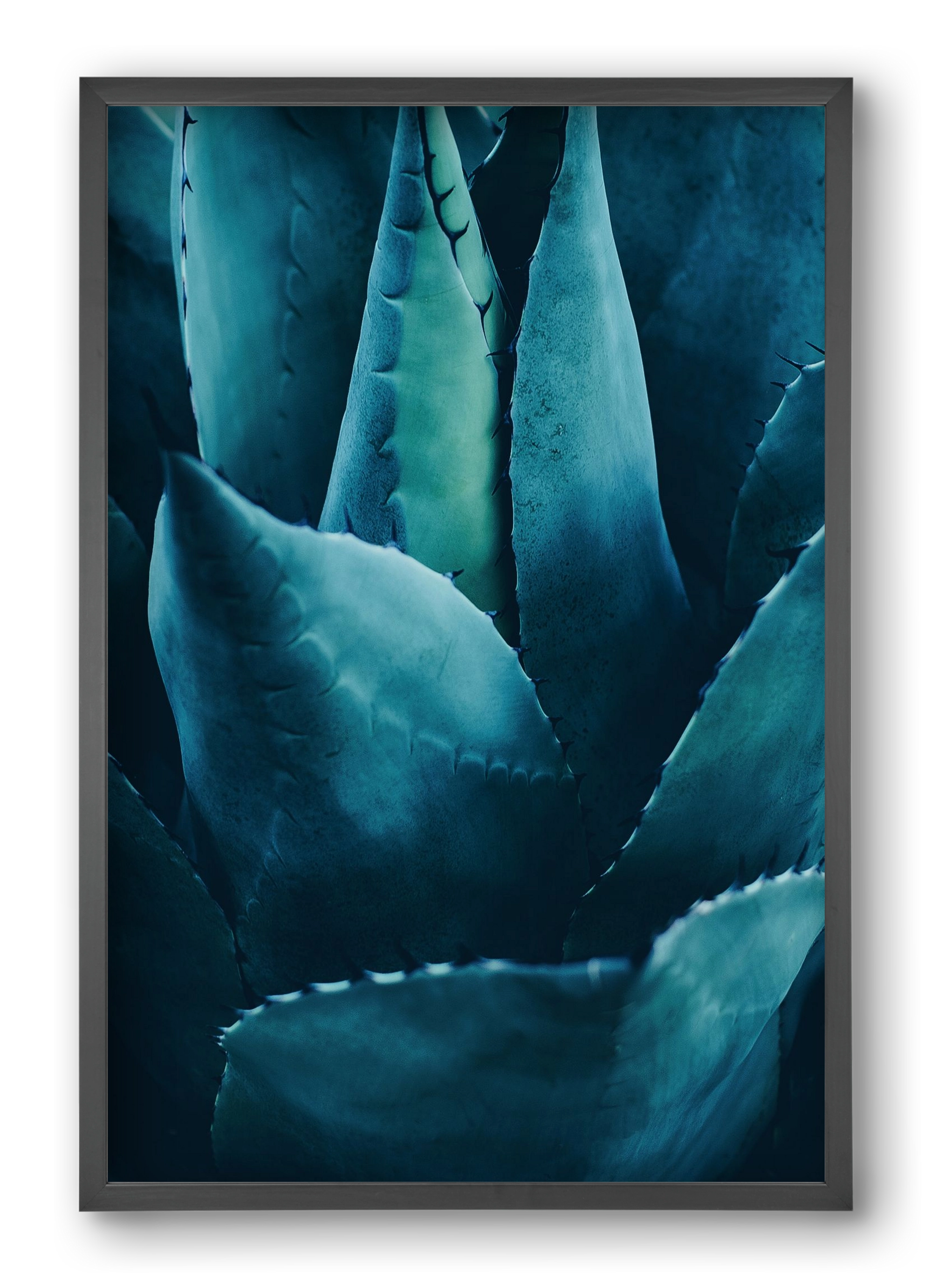 Cactus no. 4, 40x60 cm (40x60 cm), Fekete keret