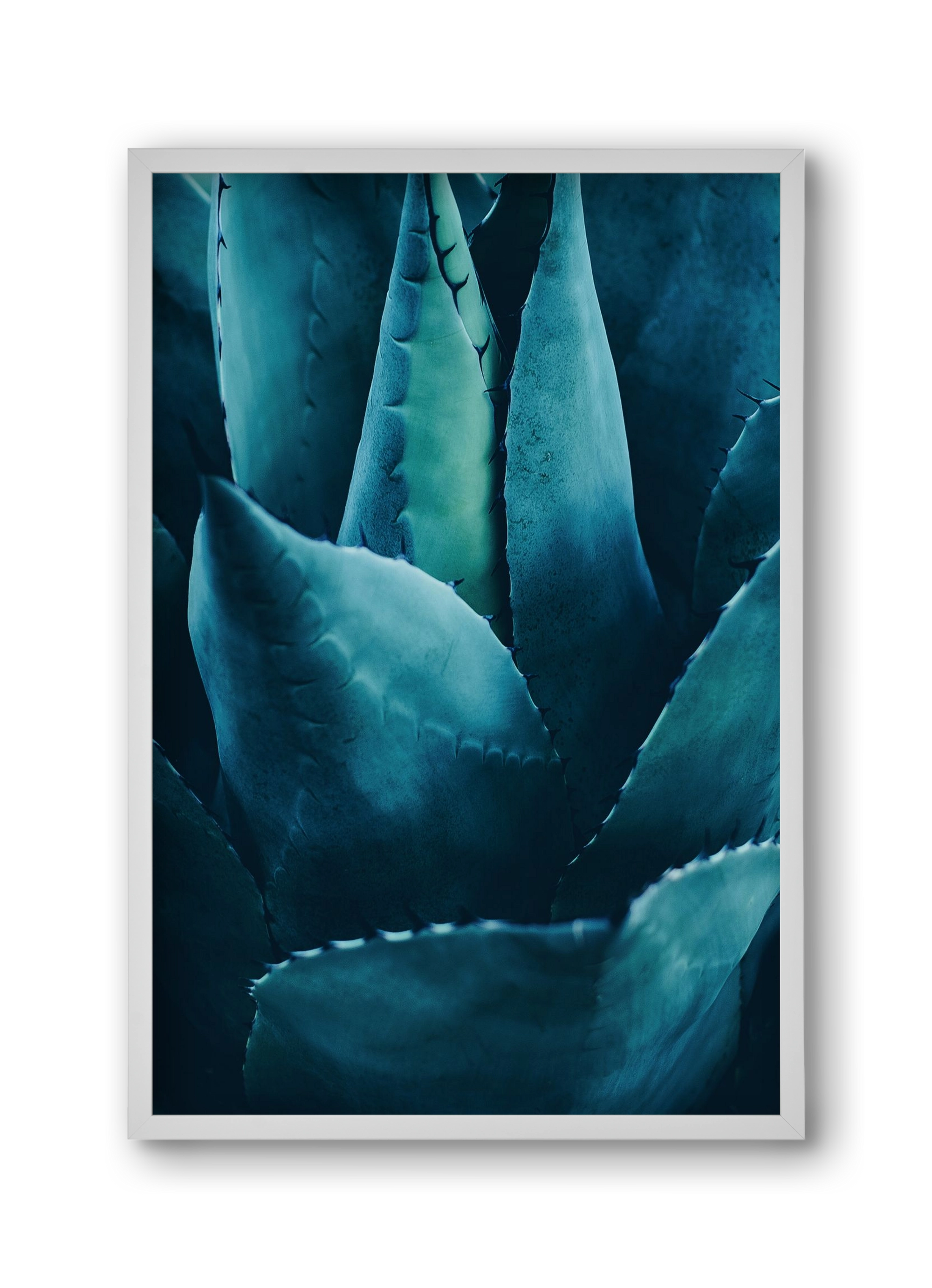 Cactus no. 4, 30x45 cm (30x45 cm), Fehér keret