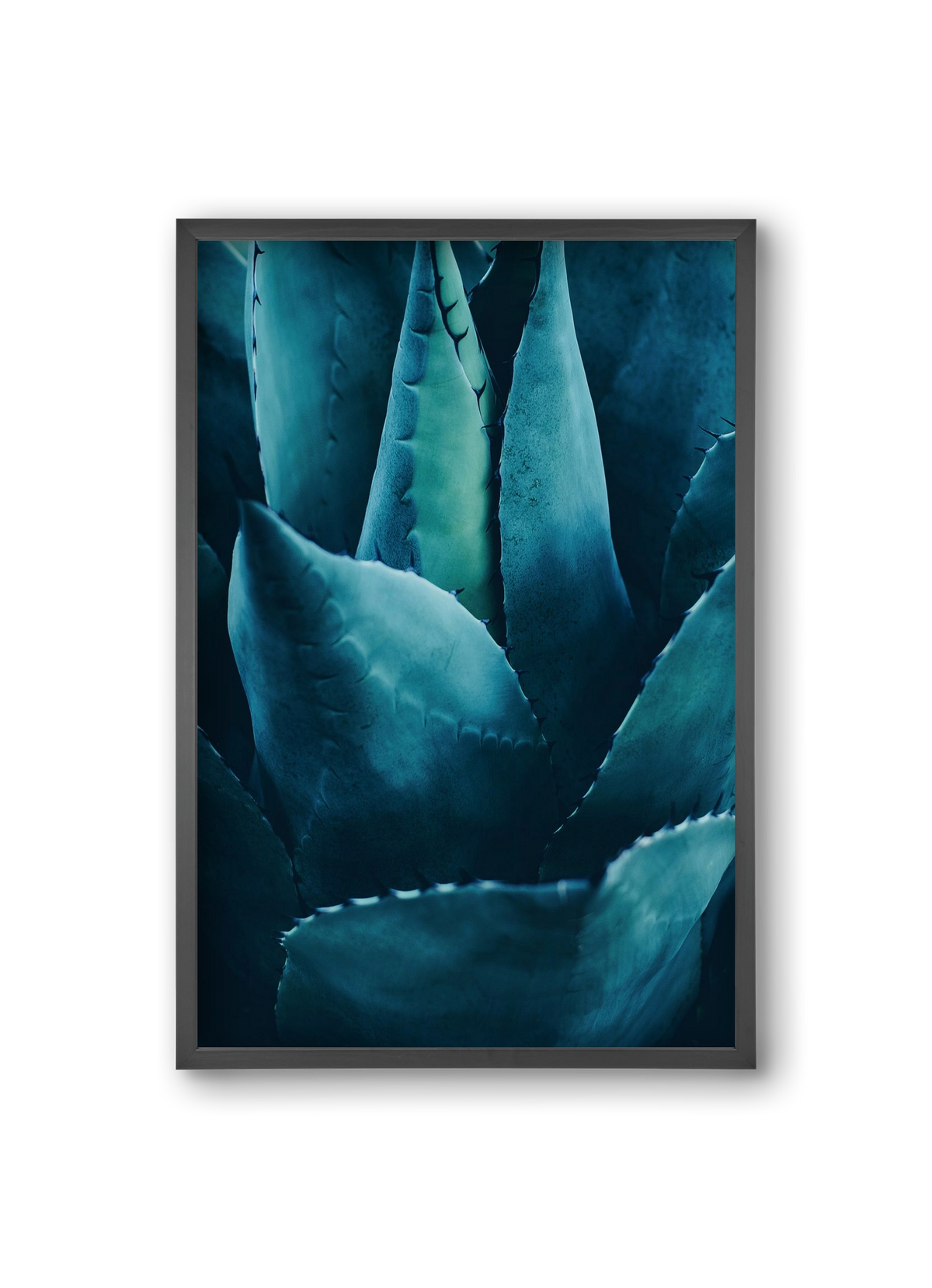 Cactus no. 4, 20x30 cm (20x30 cm), Fekete keret