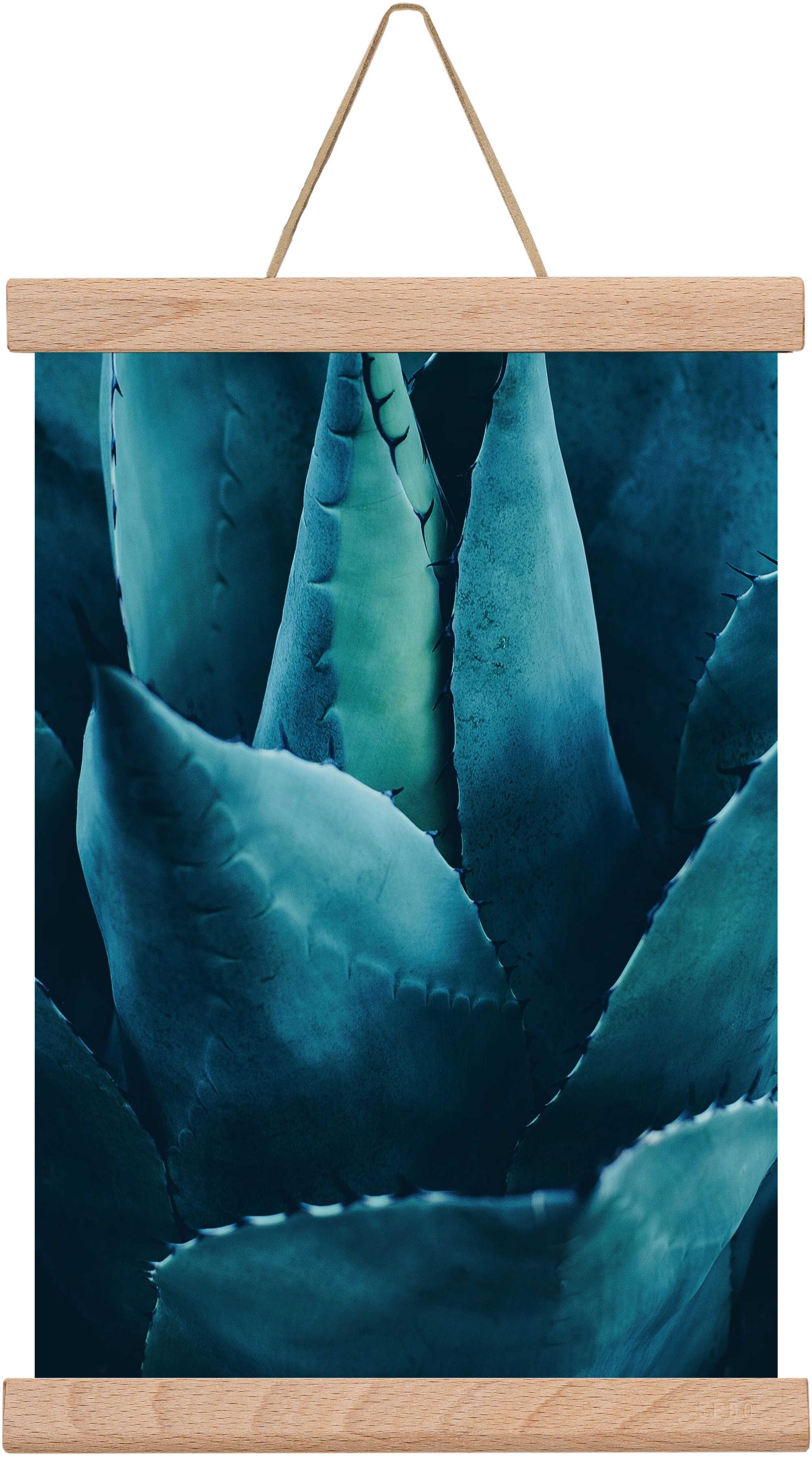 Cactus no. 4, 20x30 cm (20x30 cm), Tölgy akasztó