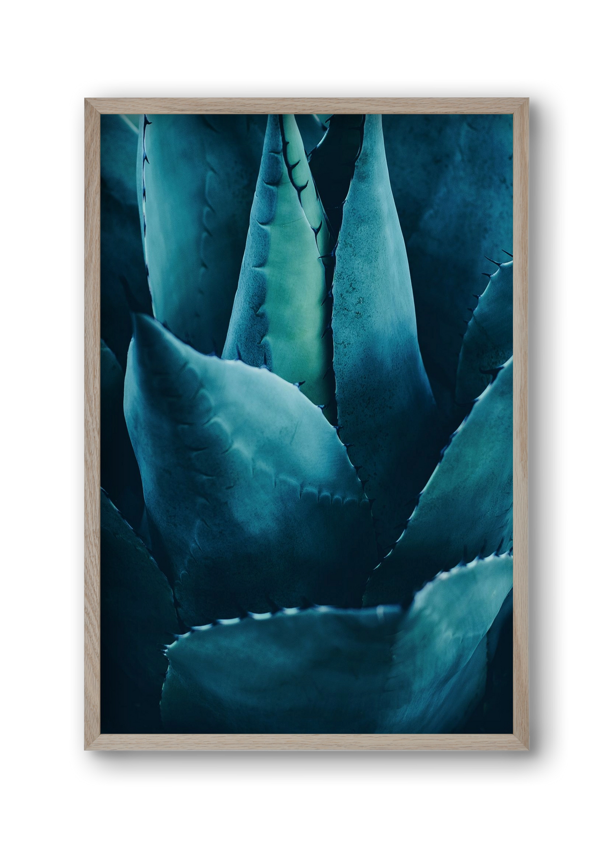 Cactus no. 4, 30x45 cm (30x45 cm), Tölgy keret