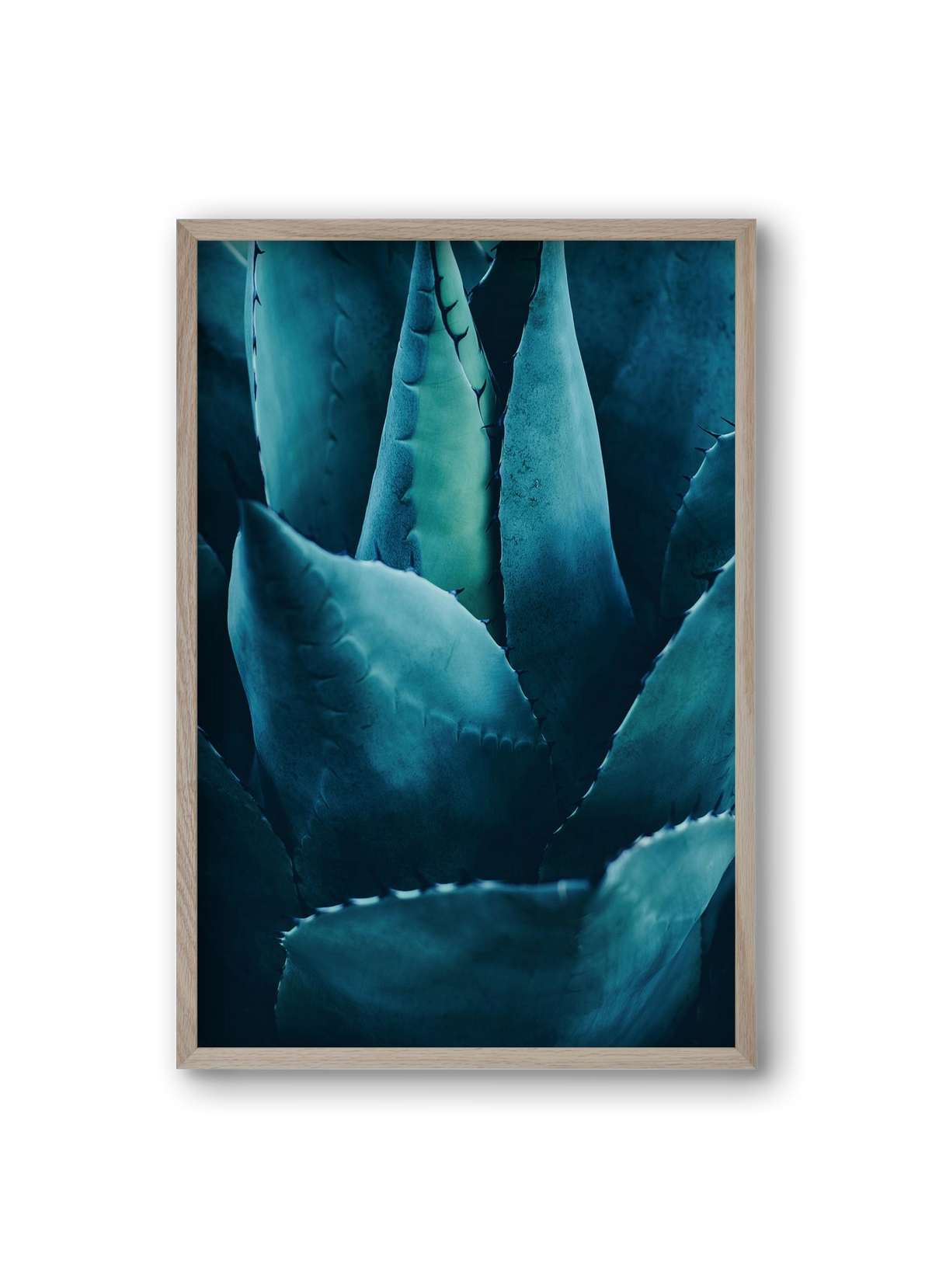 Cactus no. 4, 20x30 cm (20x30 cm), Tölgy keret