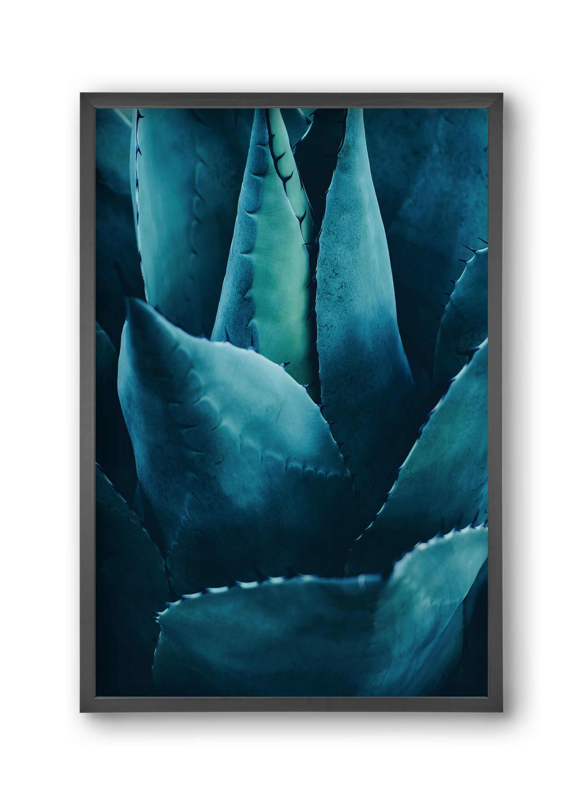 Cactus no. 4, 30x45 cm (30x45 cm), Fekete keret