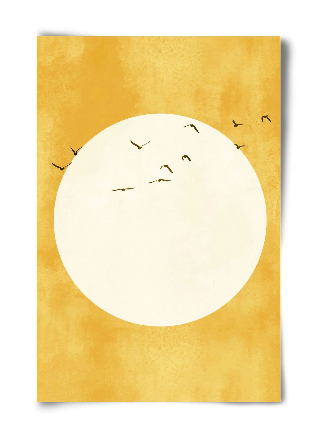 Eternal Sunshine, 40x60 cm, Keret nélkül