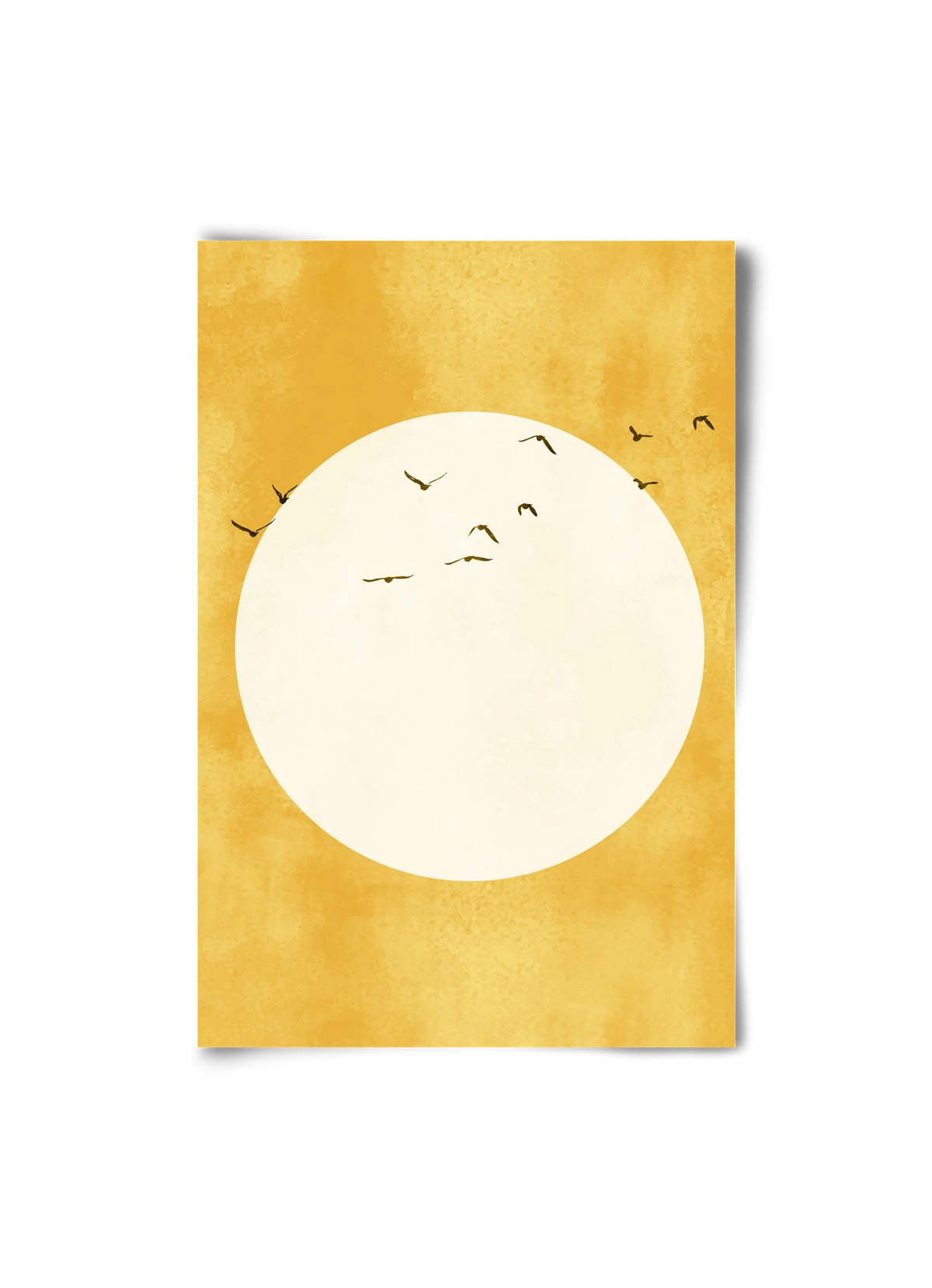 Eternal Sunshine, 20x30 cm, Keret nélkül