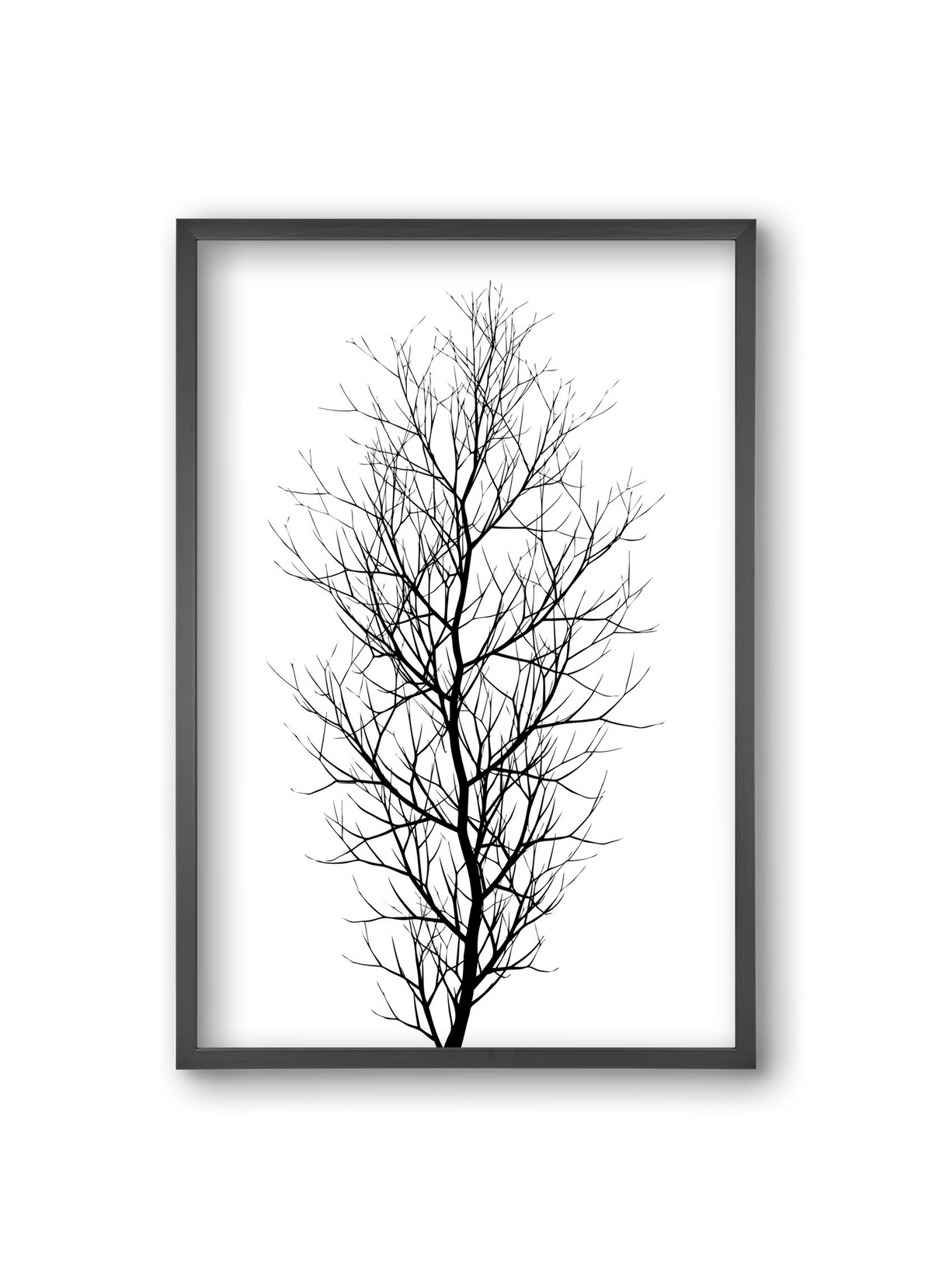 The tree, 20x30 cm (20x30 cm), Fekete keret