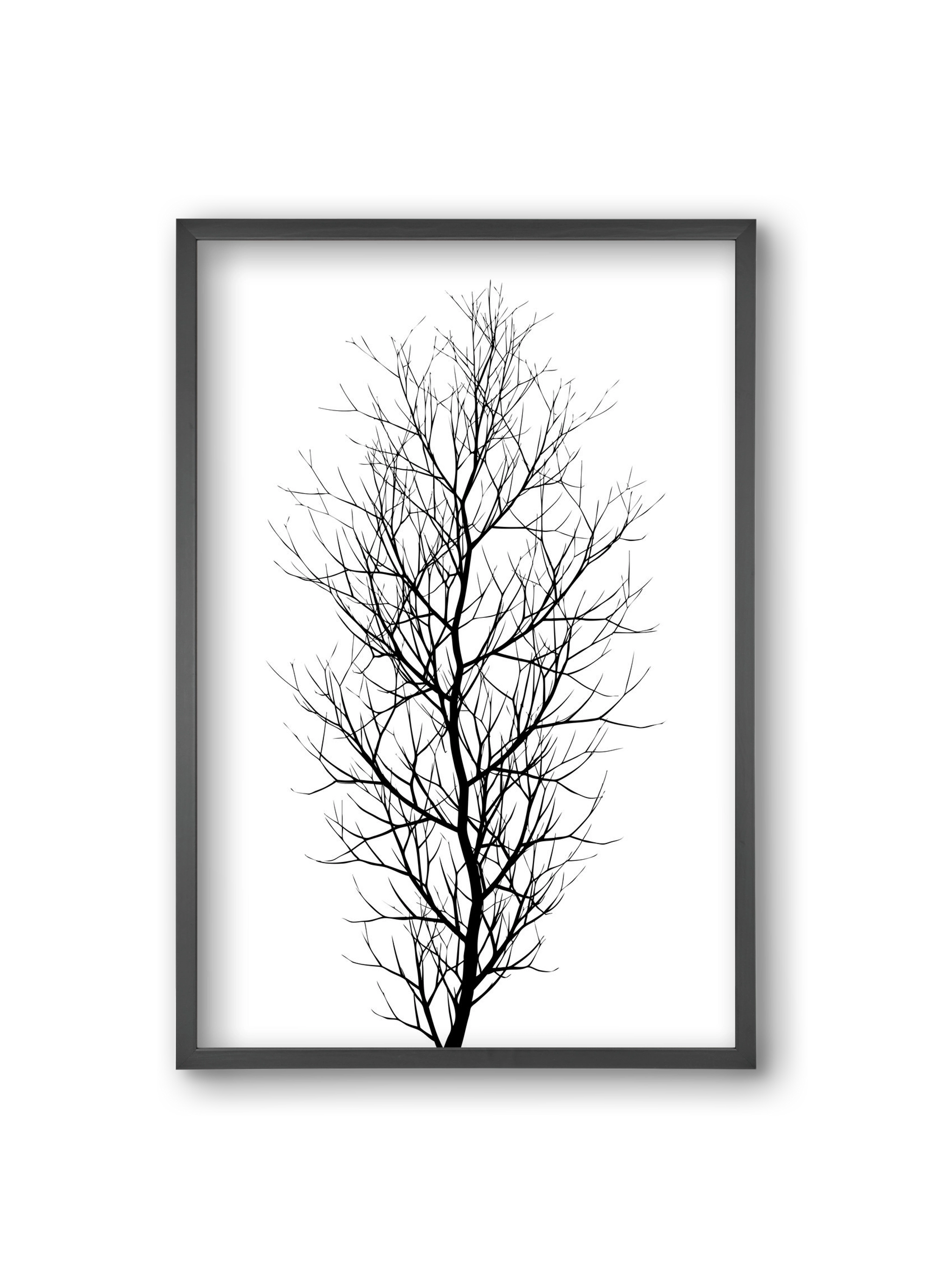 The tree, 20x30 cm (20x30 cm), Fekete keret
