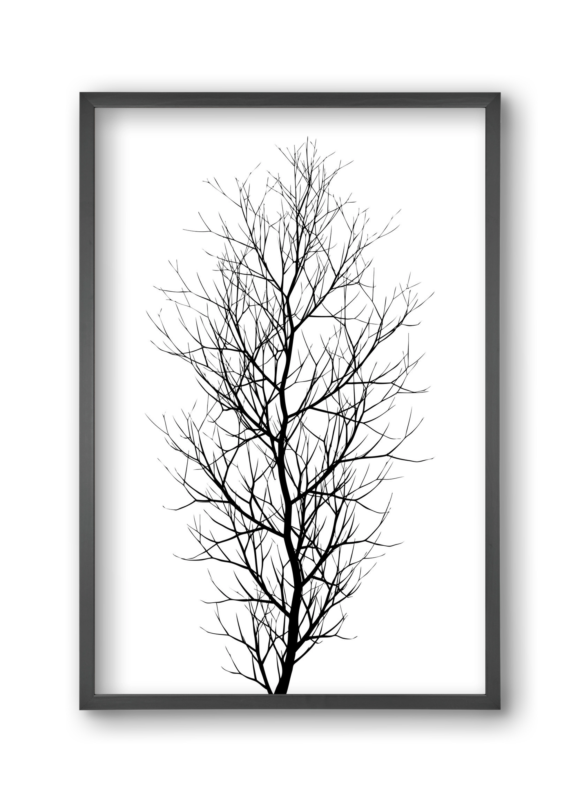 The tree, 30x45 cm (30x45 cm), Fekete keret