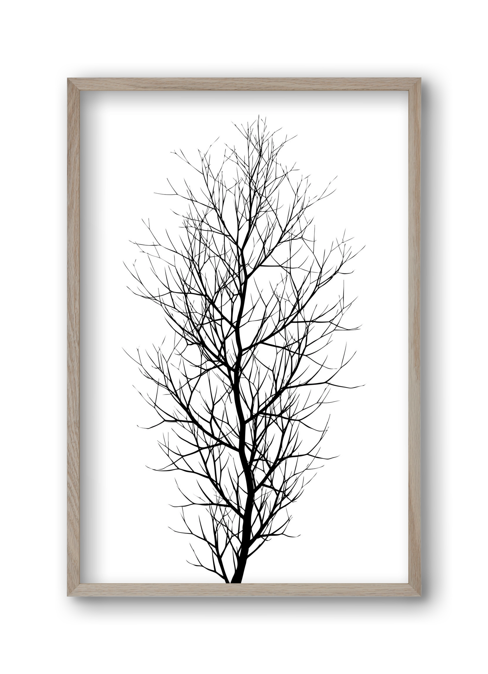 The tree, 30x45 cm (30x45 cm), Tölgy keret