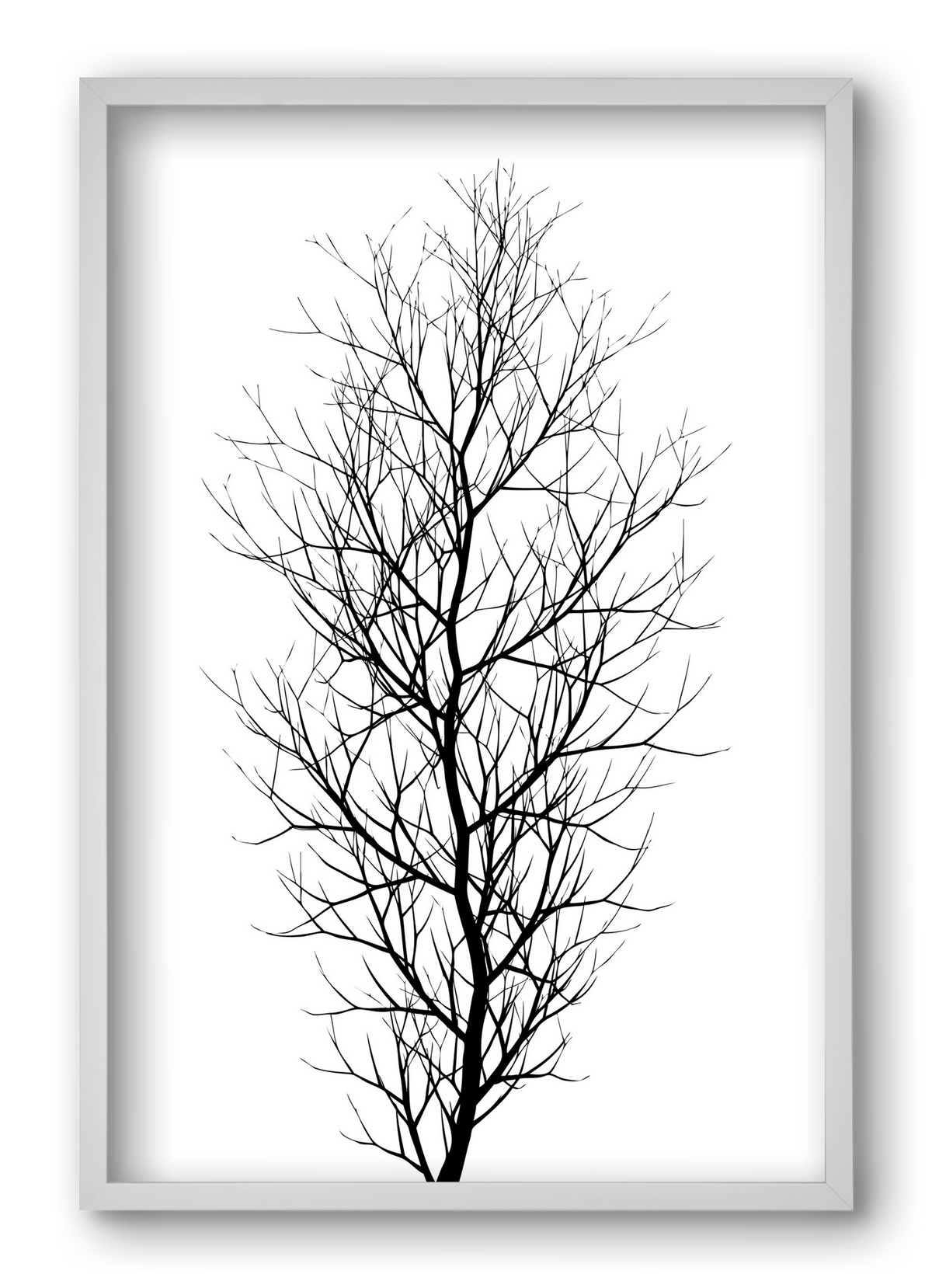 The tree, 40x60 cm (40x60 cm), Fehér keret
