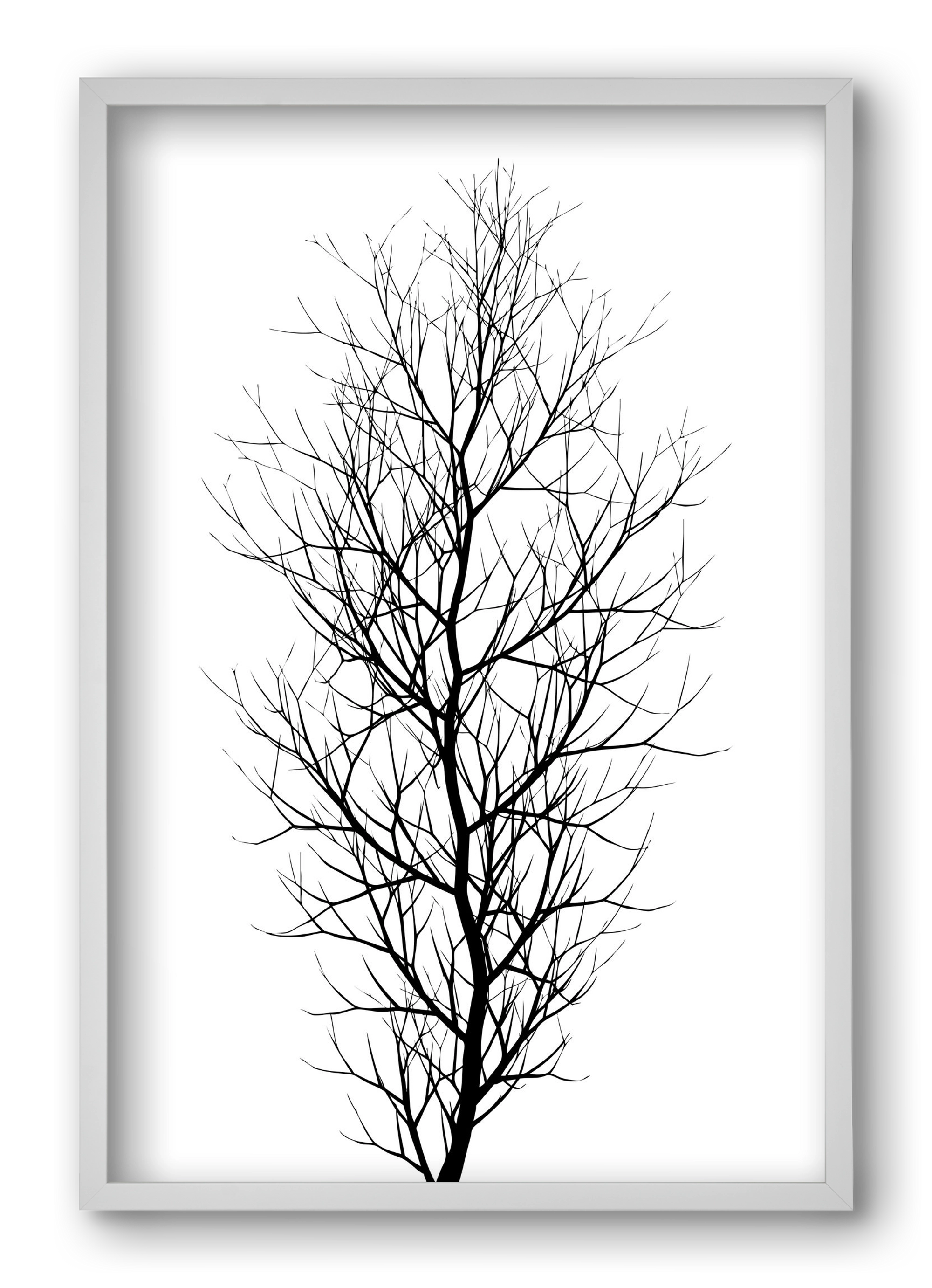The tree, 40x60 cm (40x60 cm), Fehér keret