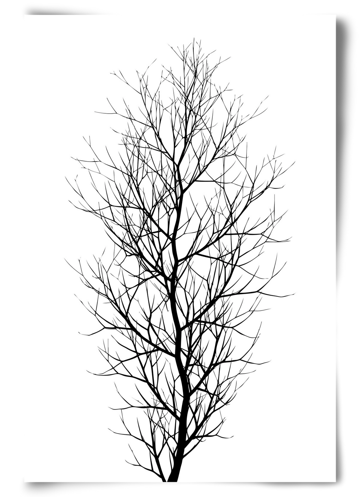 The tree, 60x90 cm, Keret nélkül