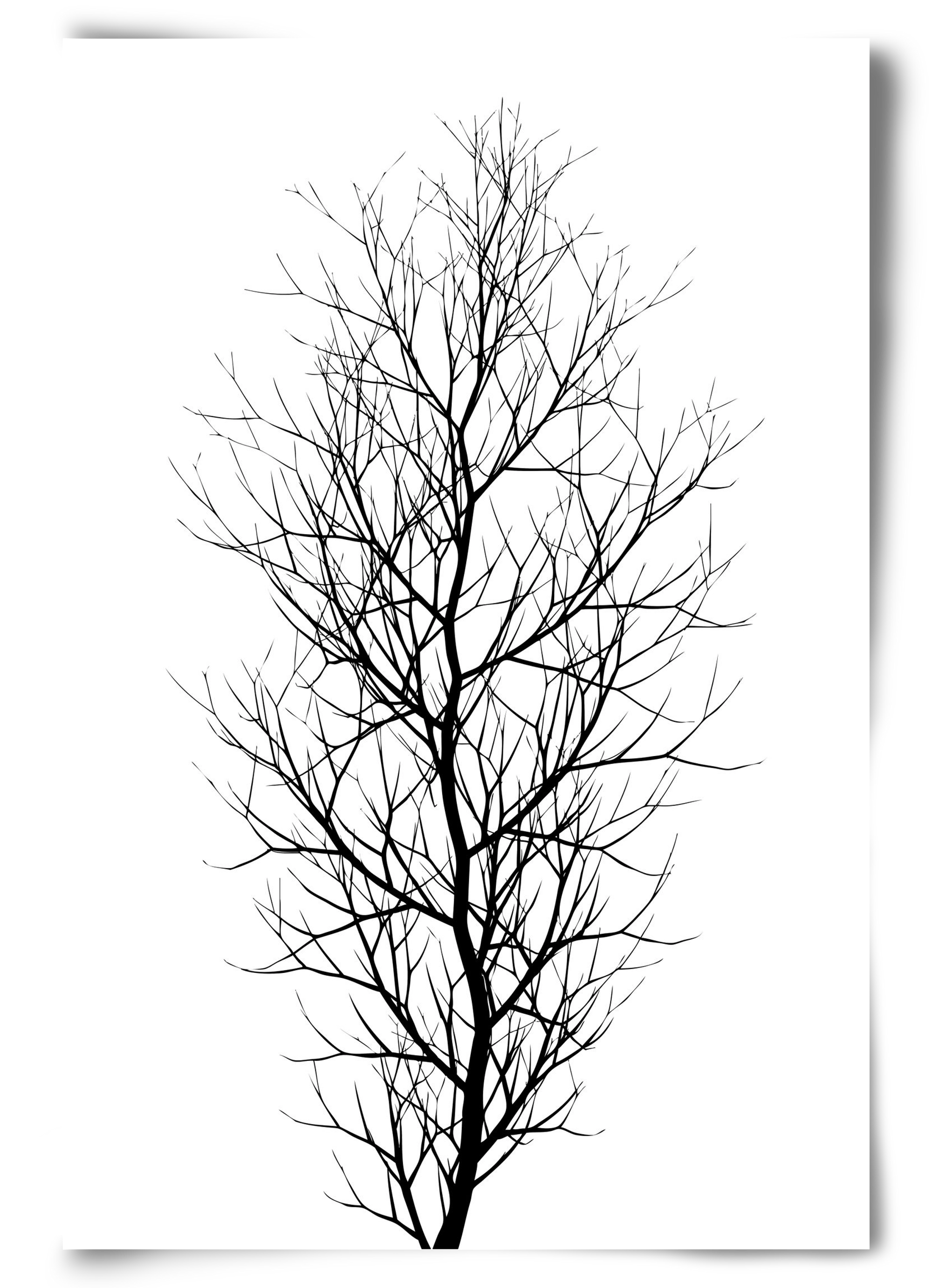 The tree, 60x90 cm, Keret nélkül