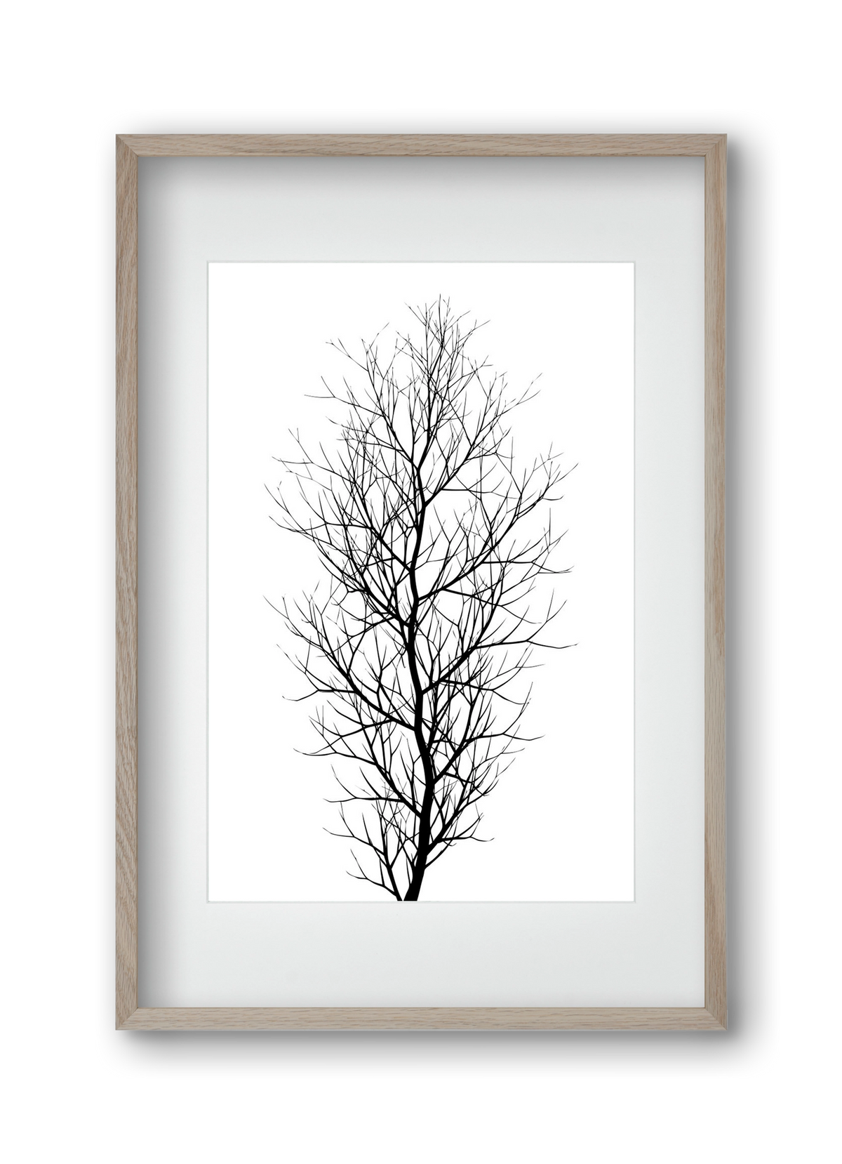 The tree, 30x45 cm (20x30 cm), Tölgy keret, paszpartuval