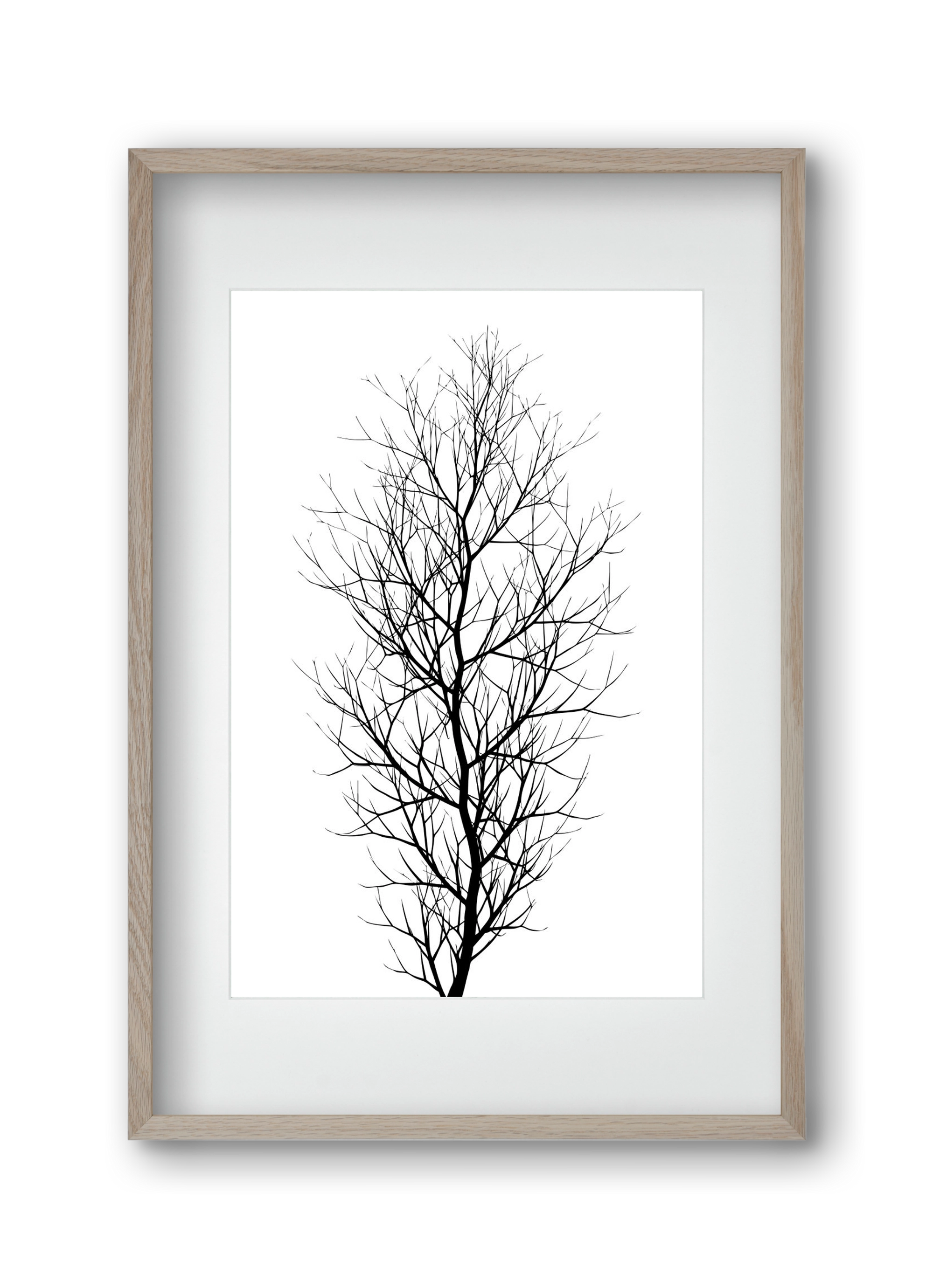 The tree, 30x45 cm (20x30 cm), Tölgy keret, paszpartuval