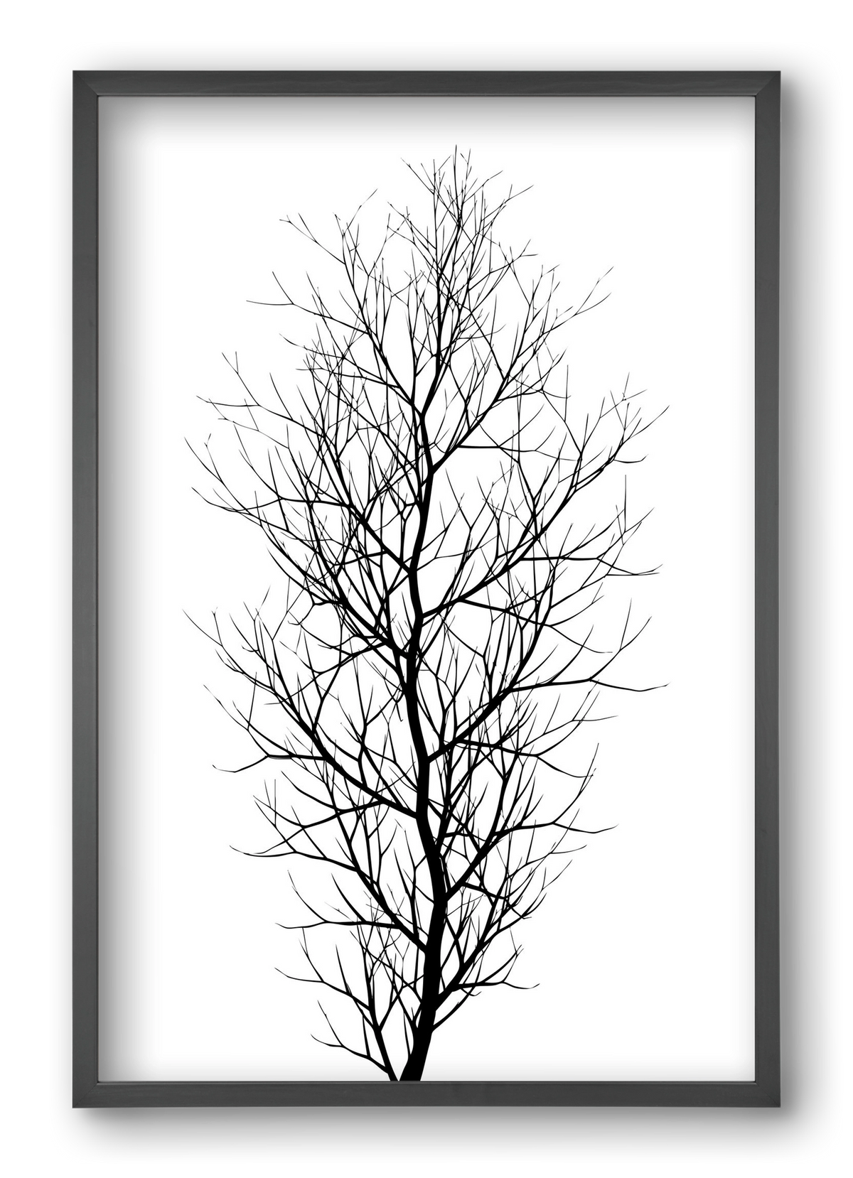 The tree, 40x60 cm (40x60 cm), Fekete keret
