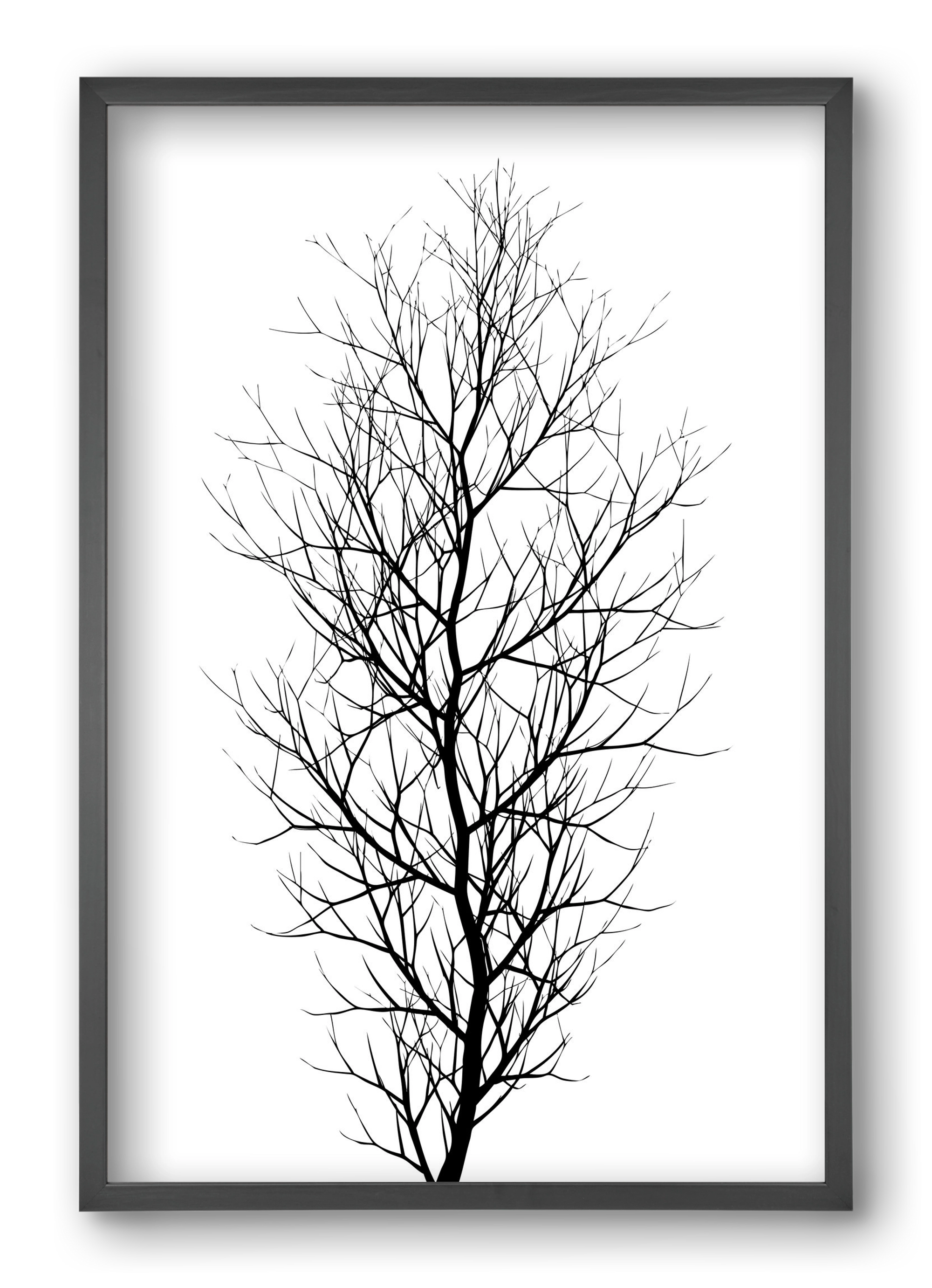 The tree, 40x60 cm (40x60 cm), Fekete keret