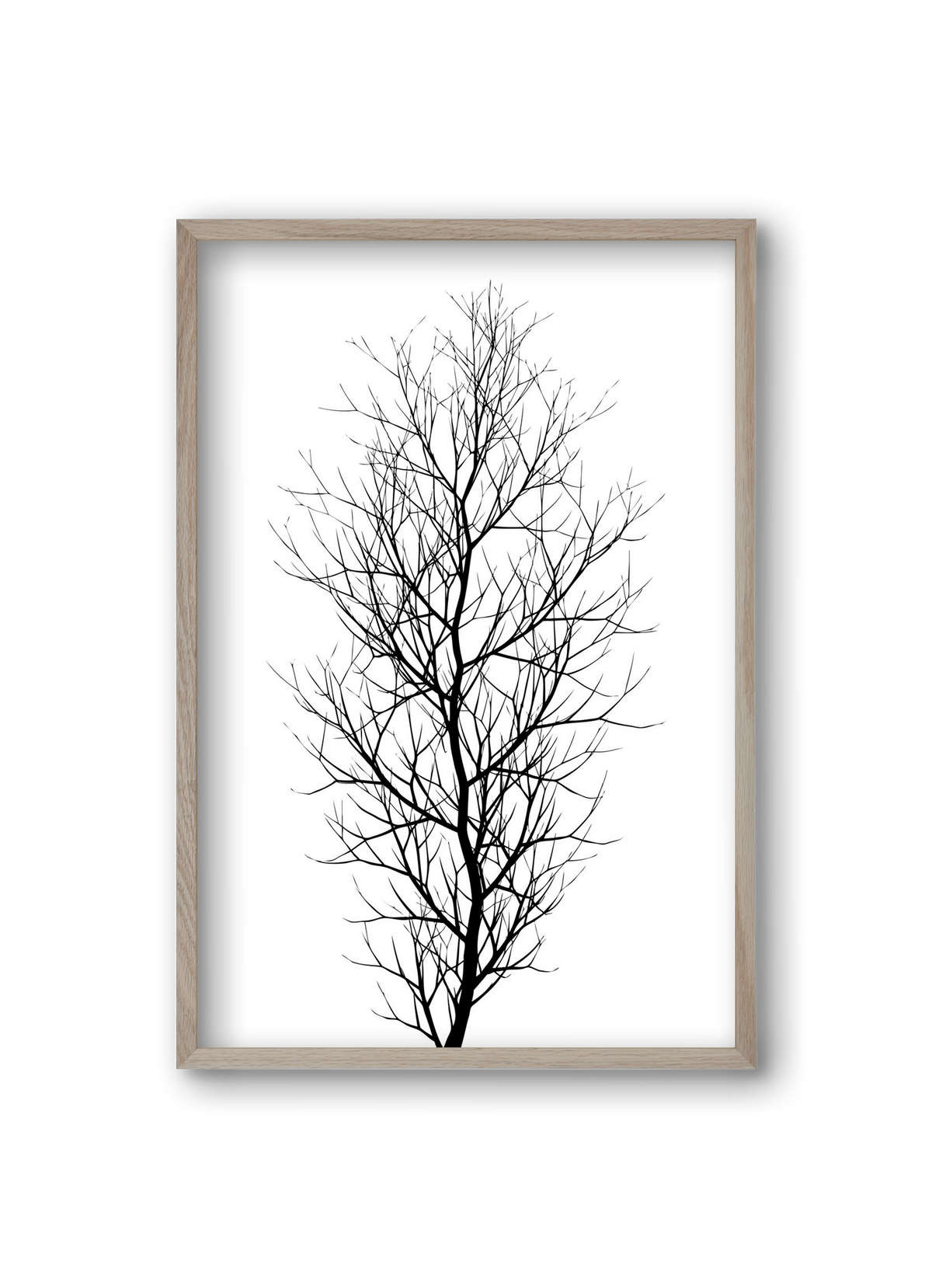 The tree, 20x30 cm (20x30 cm), Tölgy keret