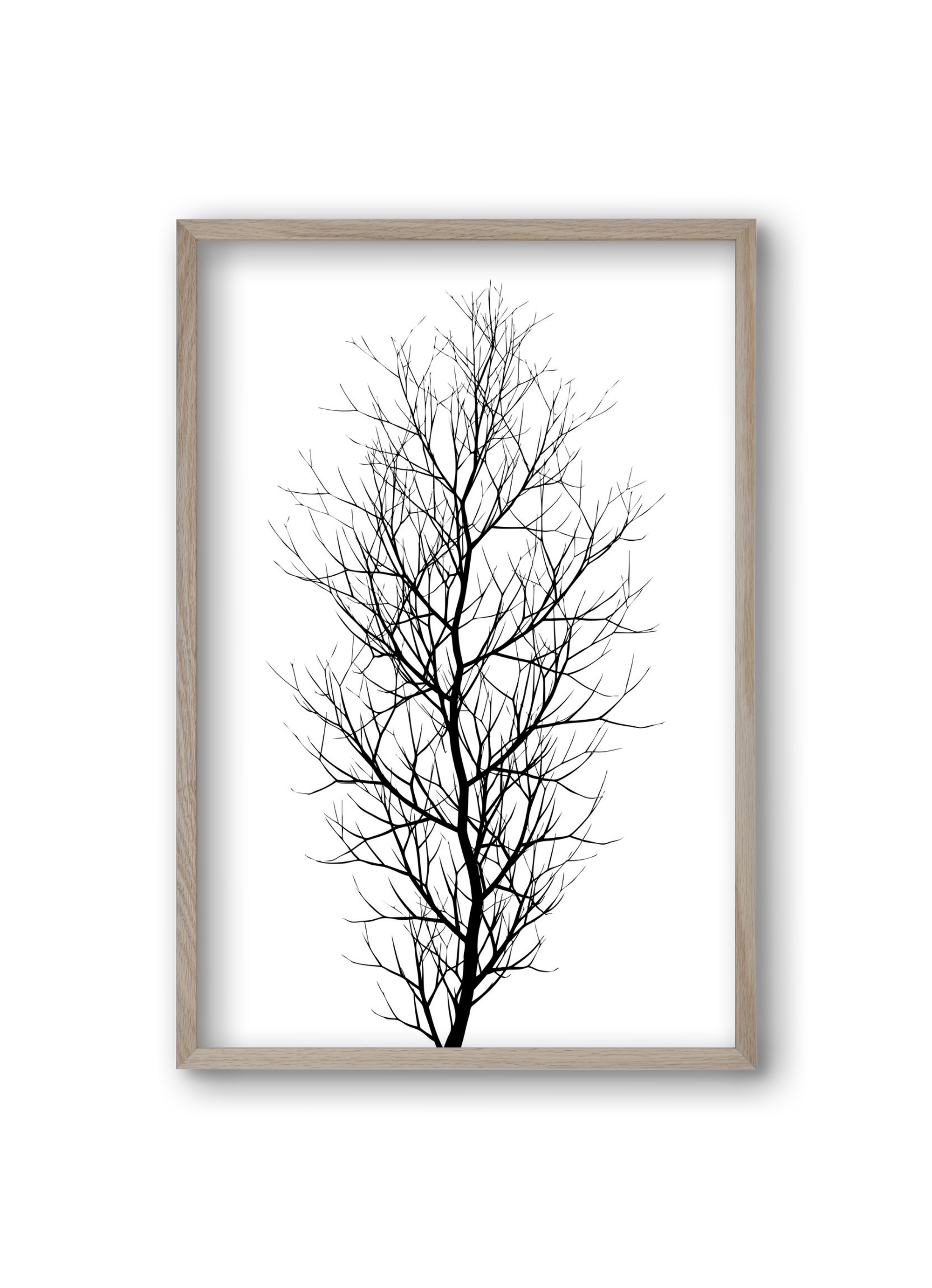 The tree, 20x30 cm (20x30 cm), Tölgy keret