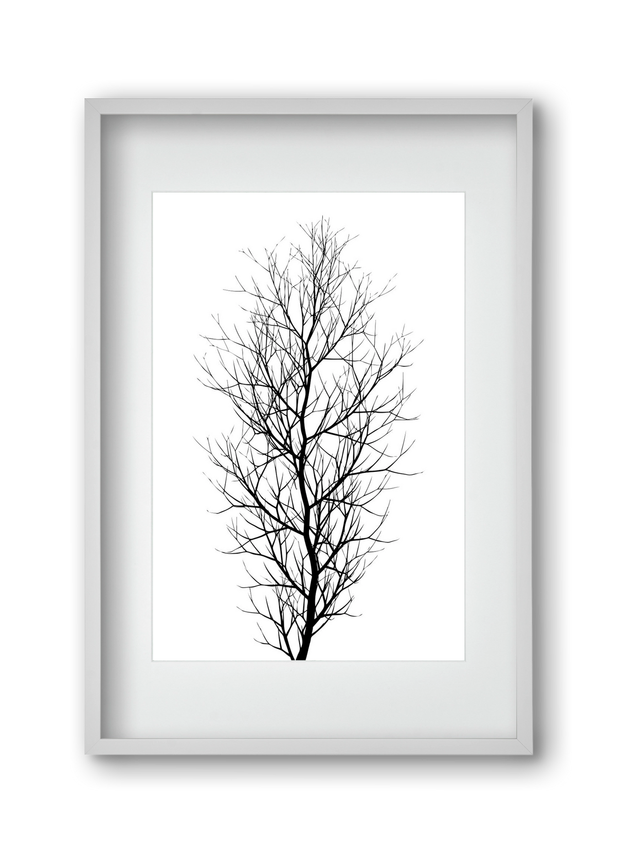 The tree, 30x45 cm (20x30 cm), Fehér keret, paszpartuval