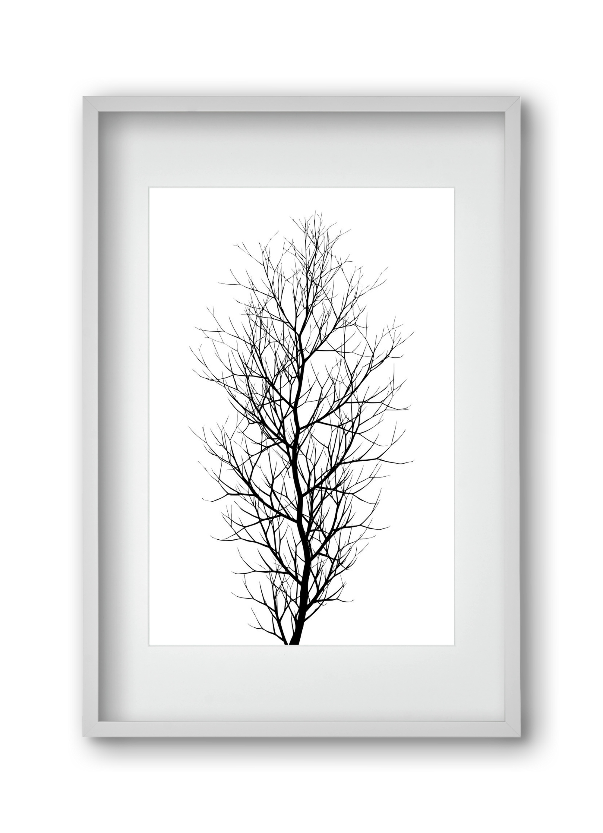 The tree, 30x45 cm (20x30 cm), Fehér keret, paszpartuval