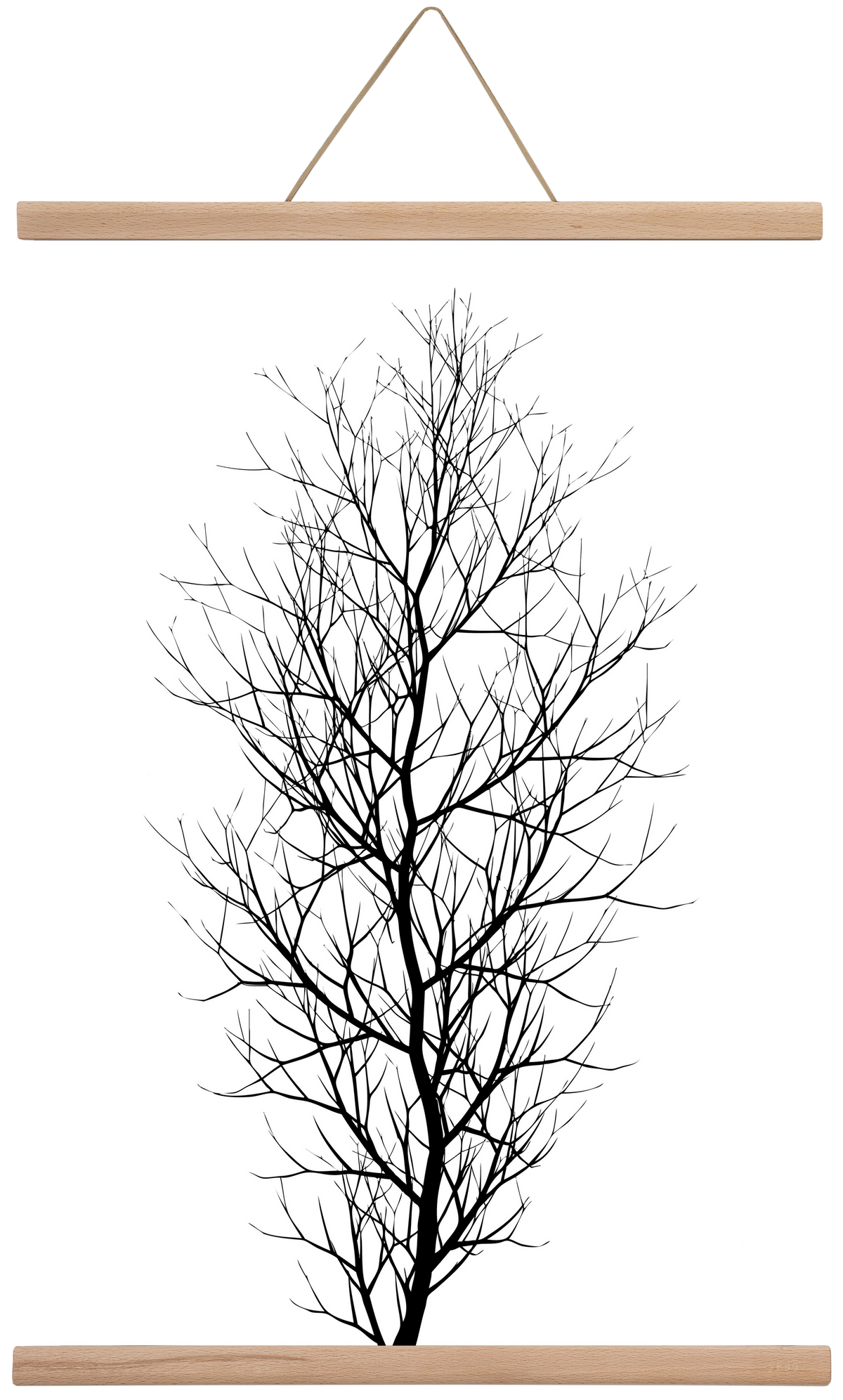 The tree, 40x60 cm (40x60 cm), Tölgy akasztó