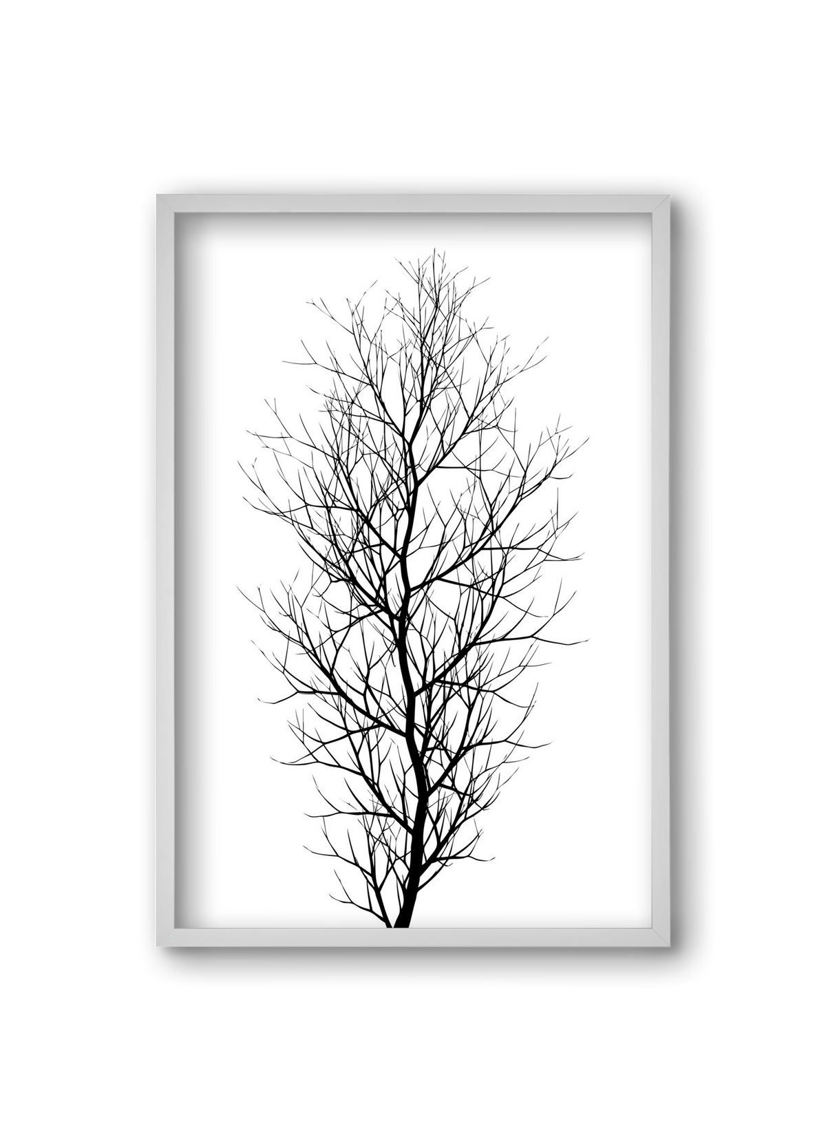 The tree, 20x30 cm (20x30 cm), Fehér keret