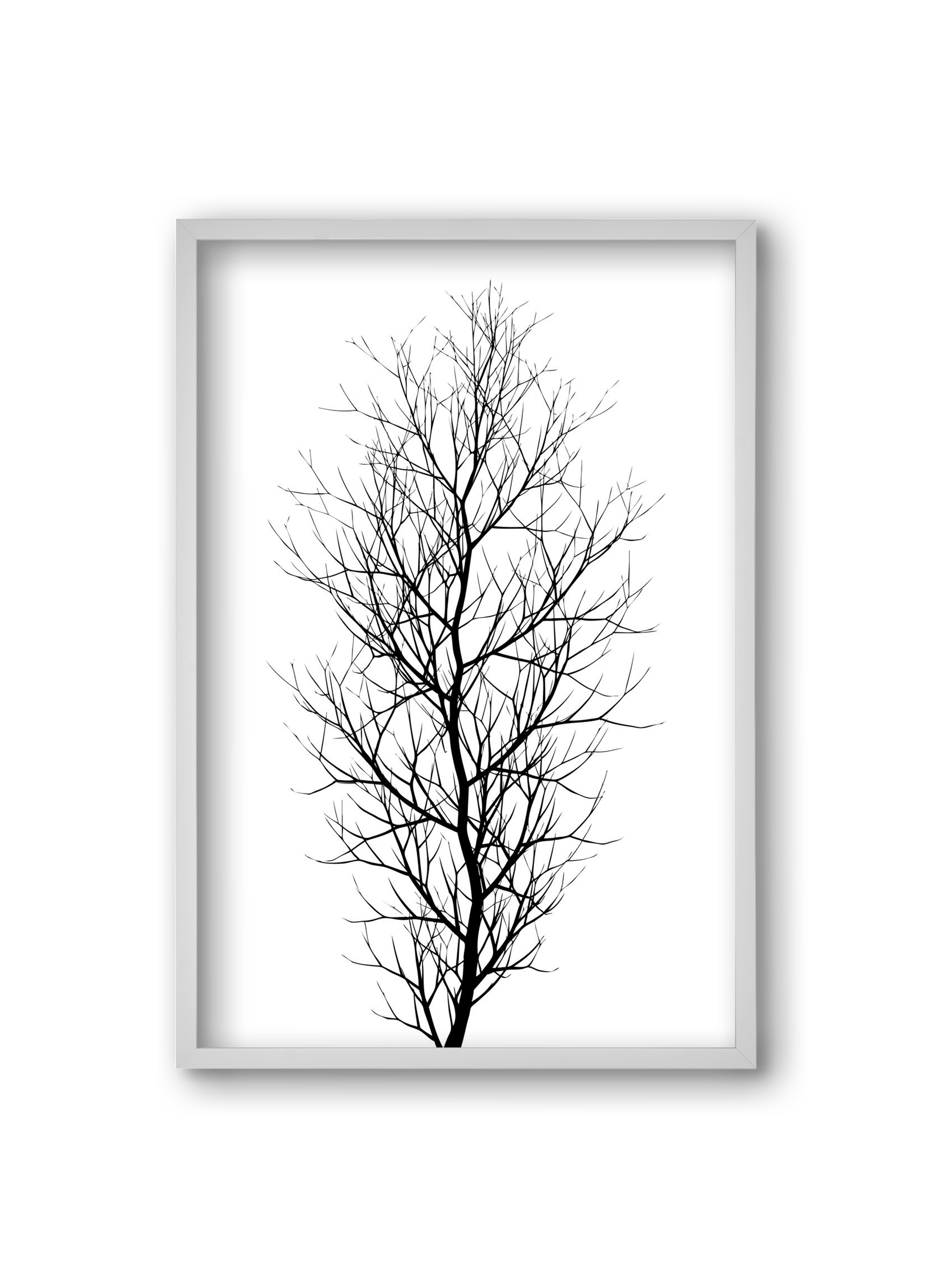 The tree, 20x30 cm (20x30 cm), Fehér keret