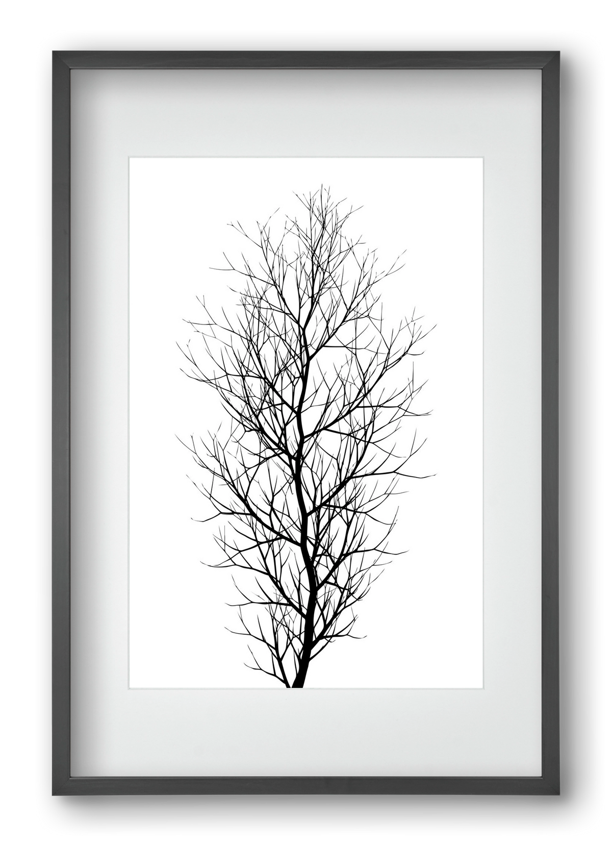 The tree, 40x60 cm (30x45 cm), Fekete keret, paszpartuval