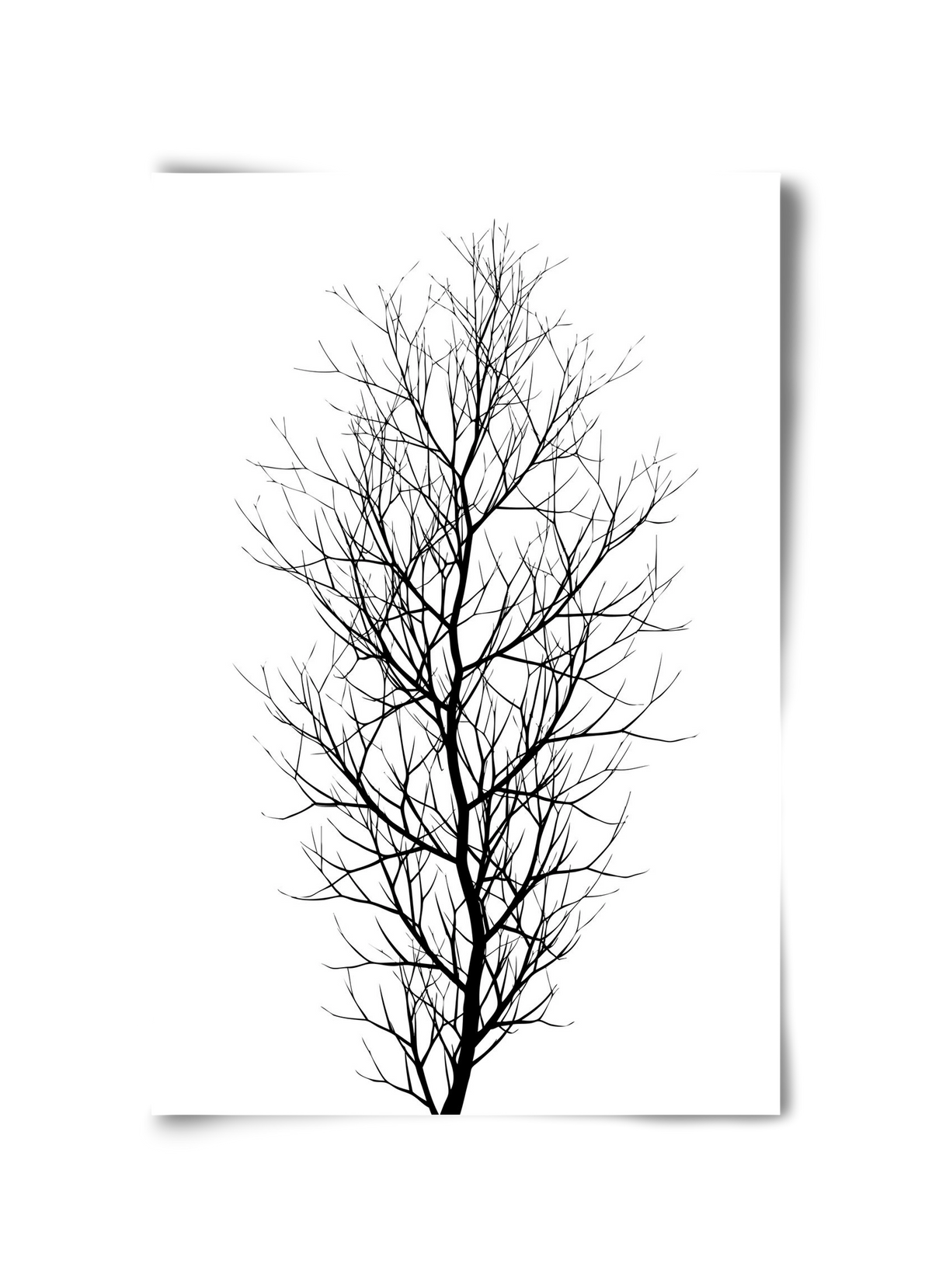 The tree, 30x45 cm, Keret nélkül