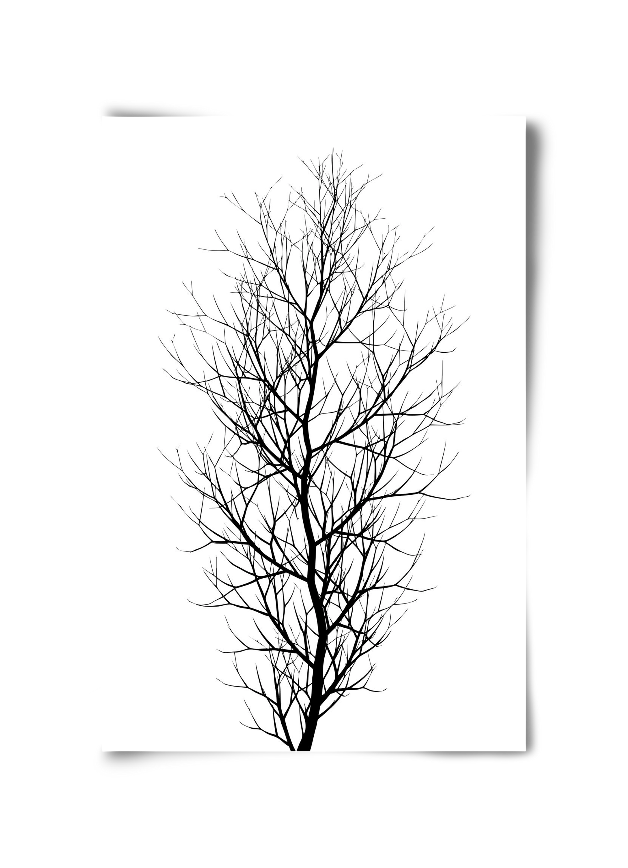 The tree, 30x45 cm, Keret nélkül