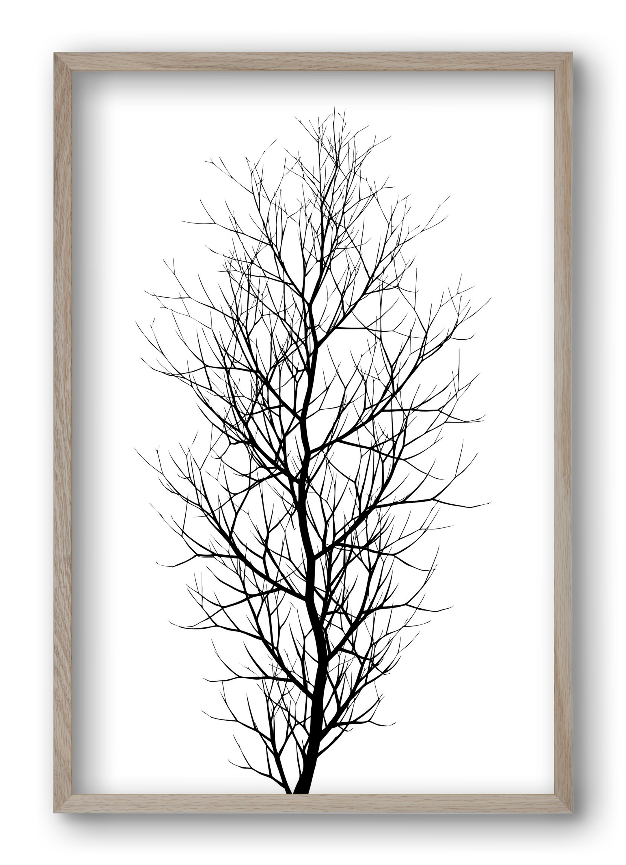 The tree, 40x60 cm (40x60 cm), Tölgy keret