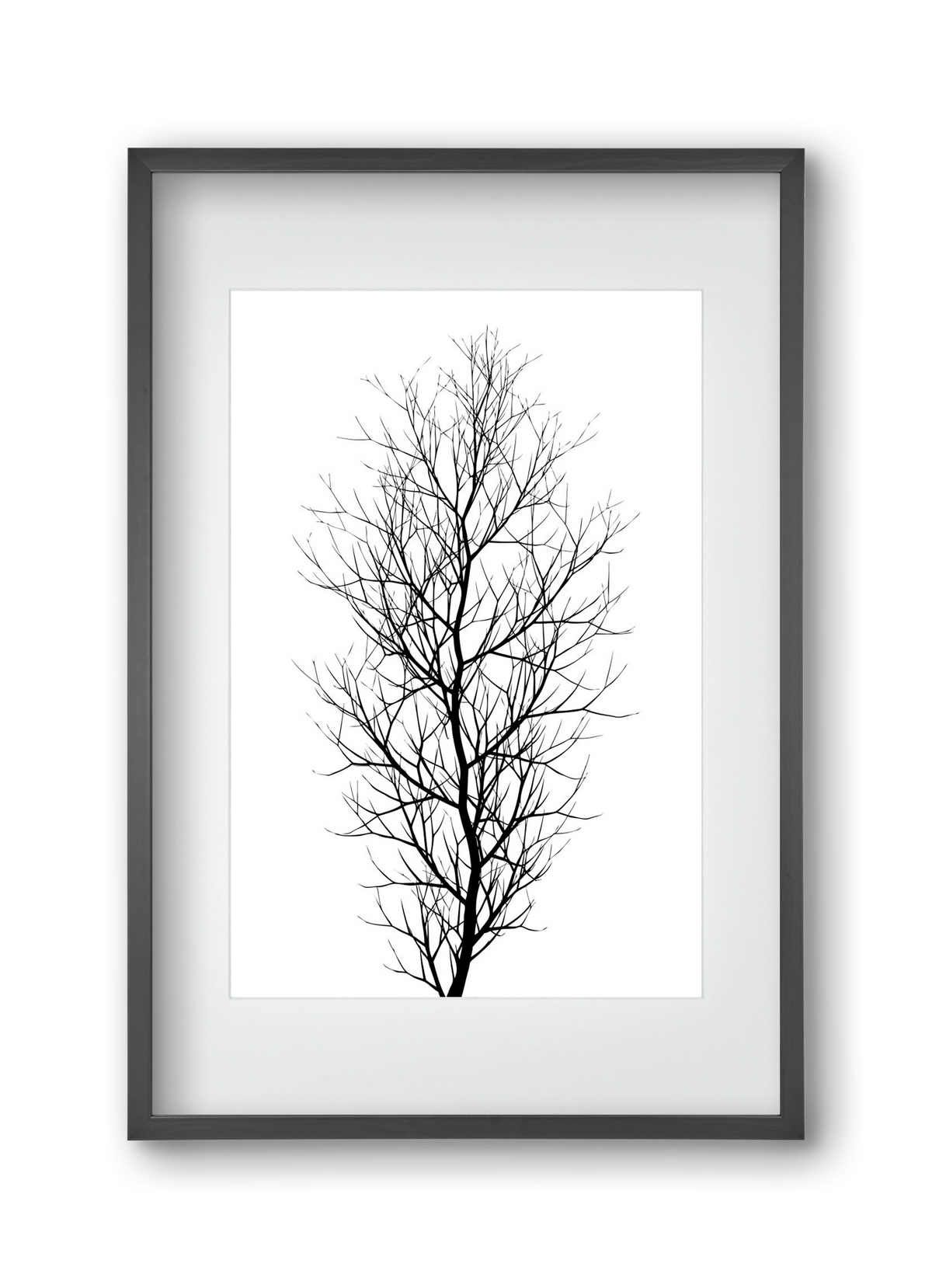 The tree, 30x45 cm (20x30 cm), Fekete keret, paszpartuval