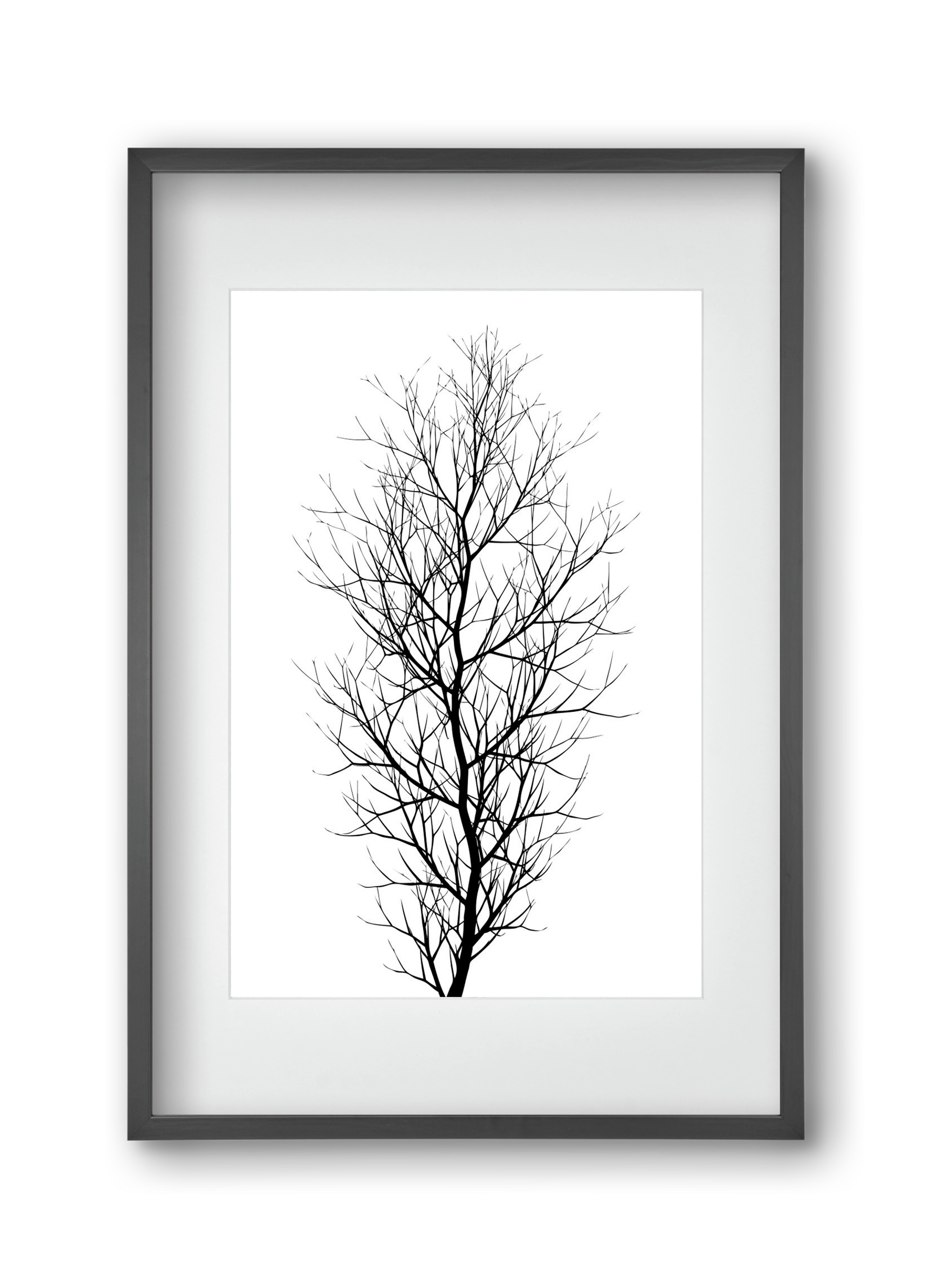 The tree, 30x45 cm (20x30 cm), Fekete keret, paszpartuval