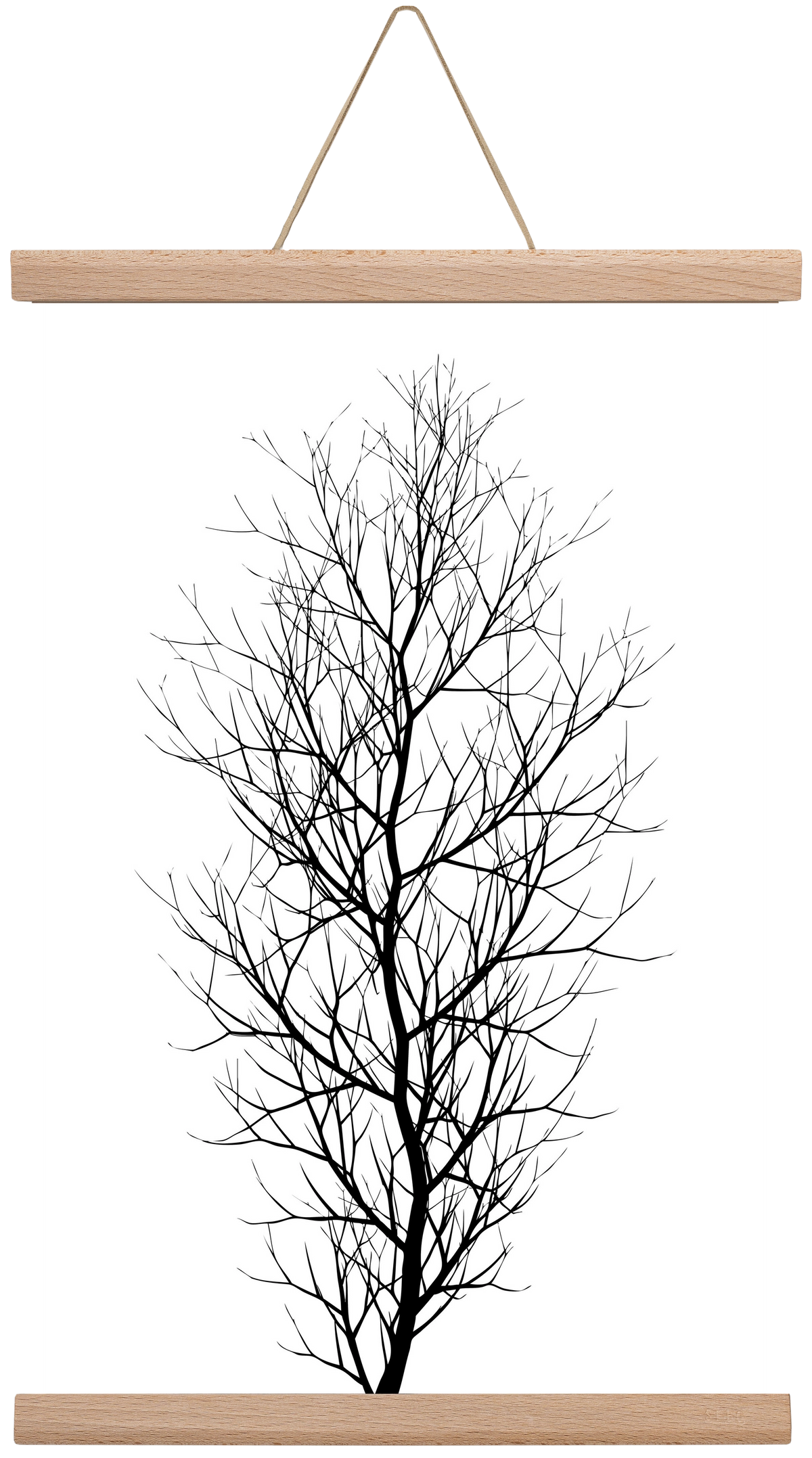 The tree, 30x45 cm (30x45 cm), Tölgy akasztó