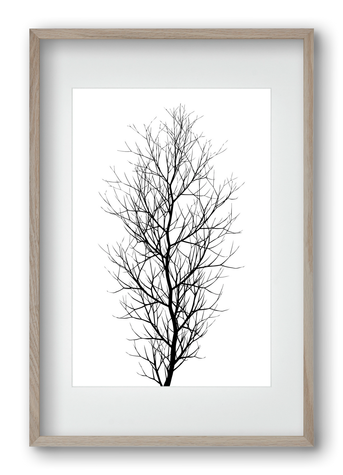 The tree, 40x60 cm (30x45 cm), Tölgy keret, paszpartuval