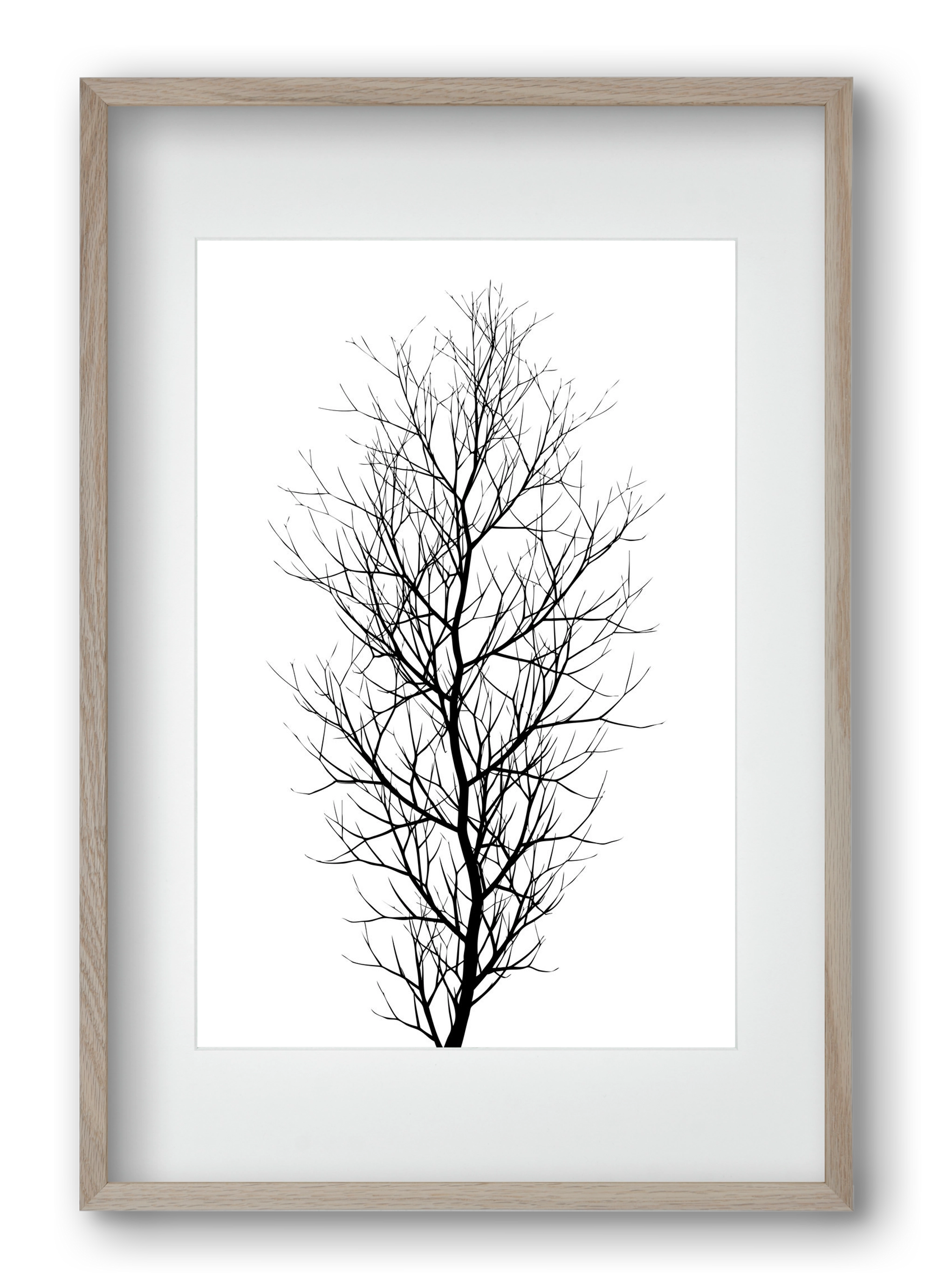 The tree, 40x60 cm (30x45 cm), Tölgy keret, paszpartuval