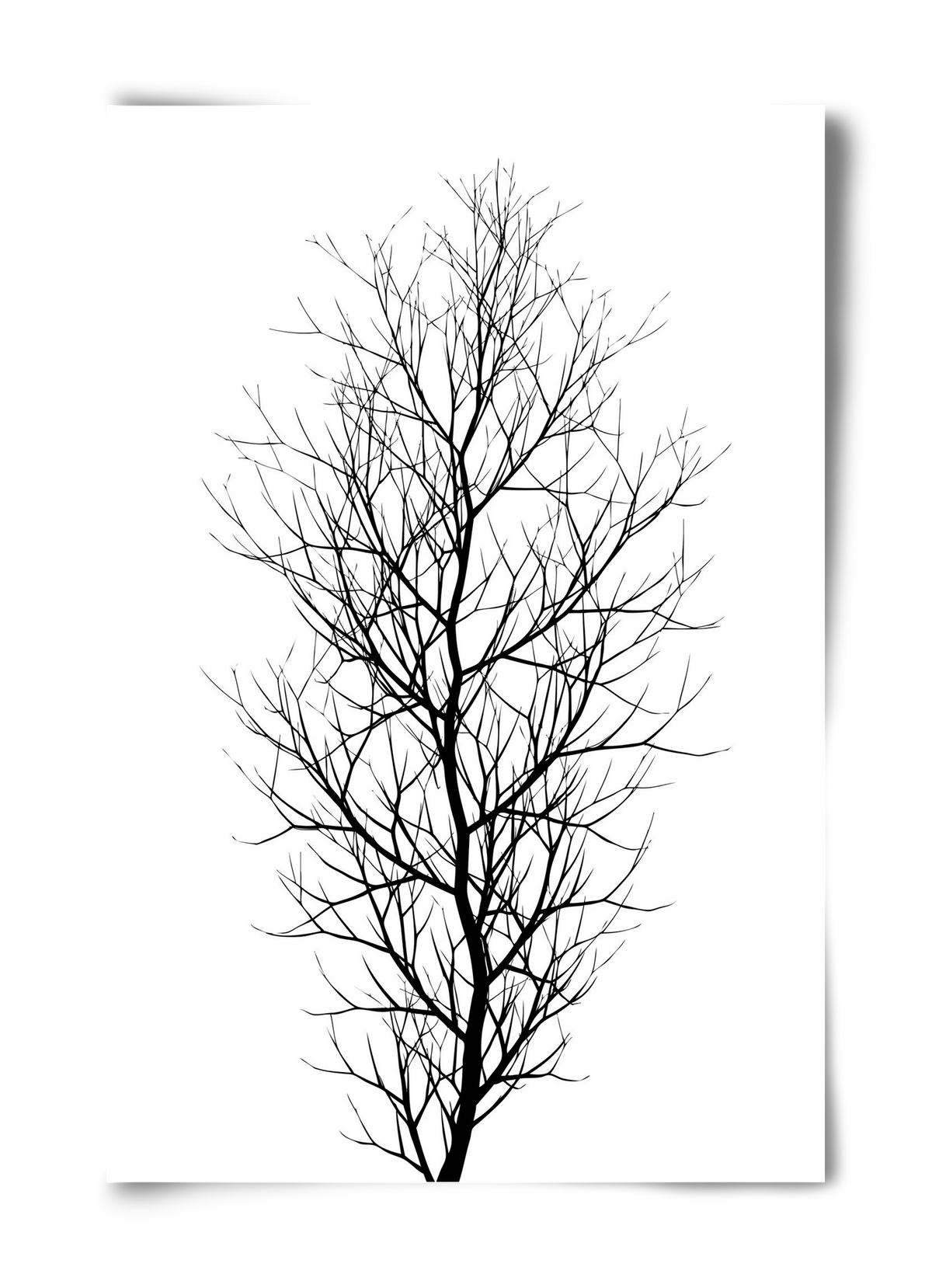 The tree, 40x60 cm, Keret nélkül