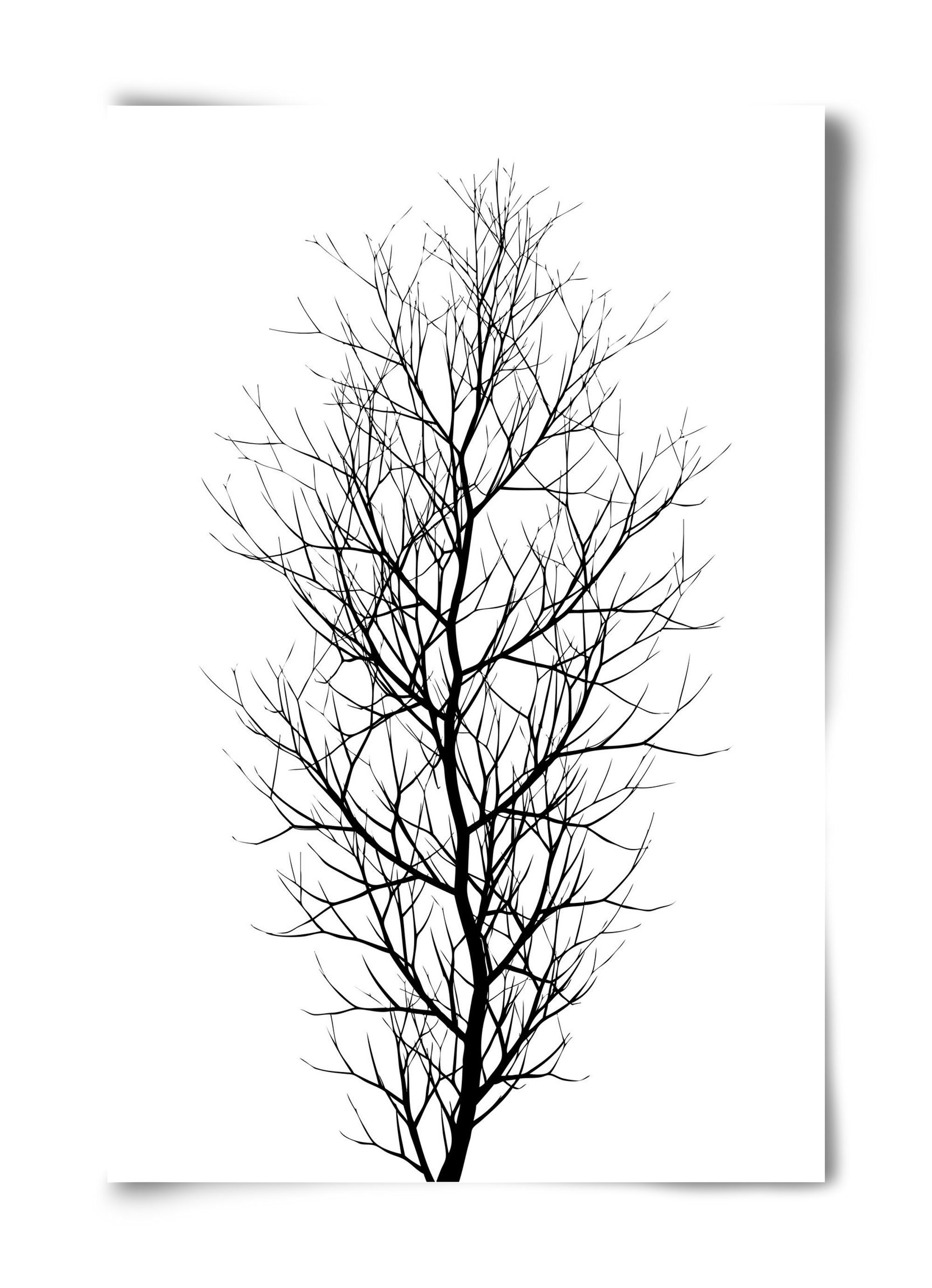 The tree, 40x60 cm, Keret nélkül