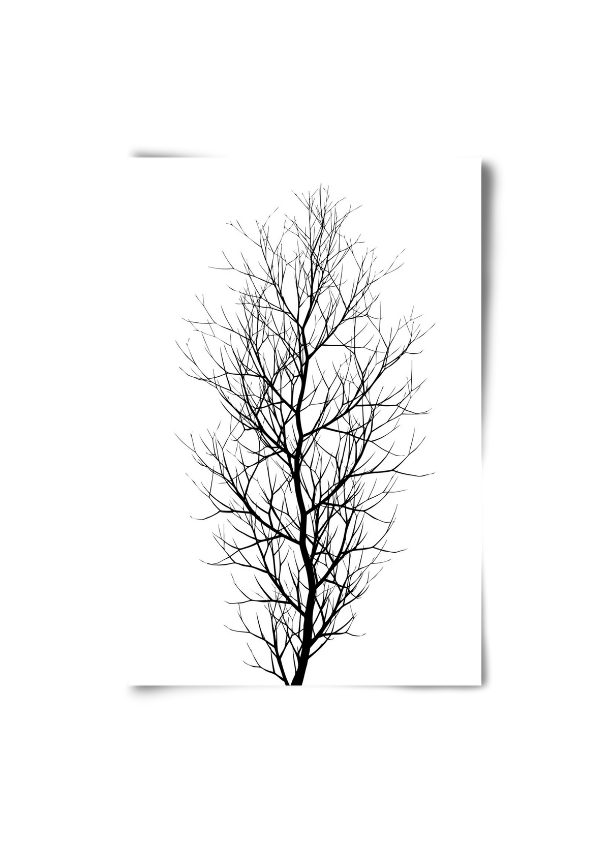 The tree, 20x30 cm, Keret nélkül