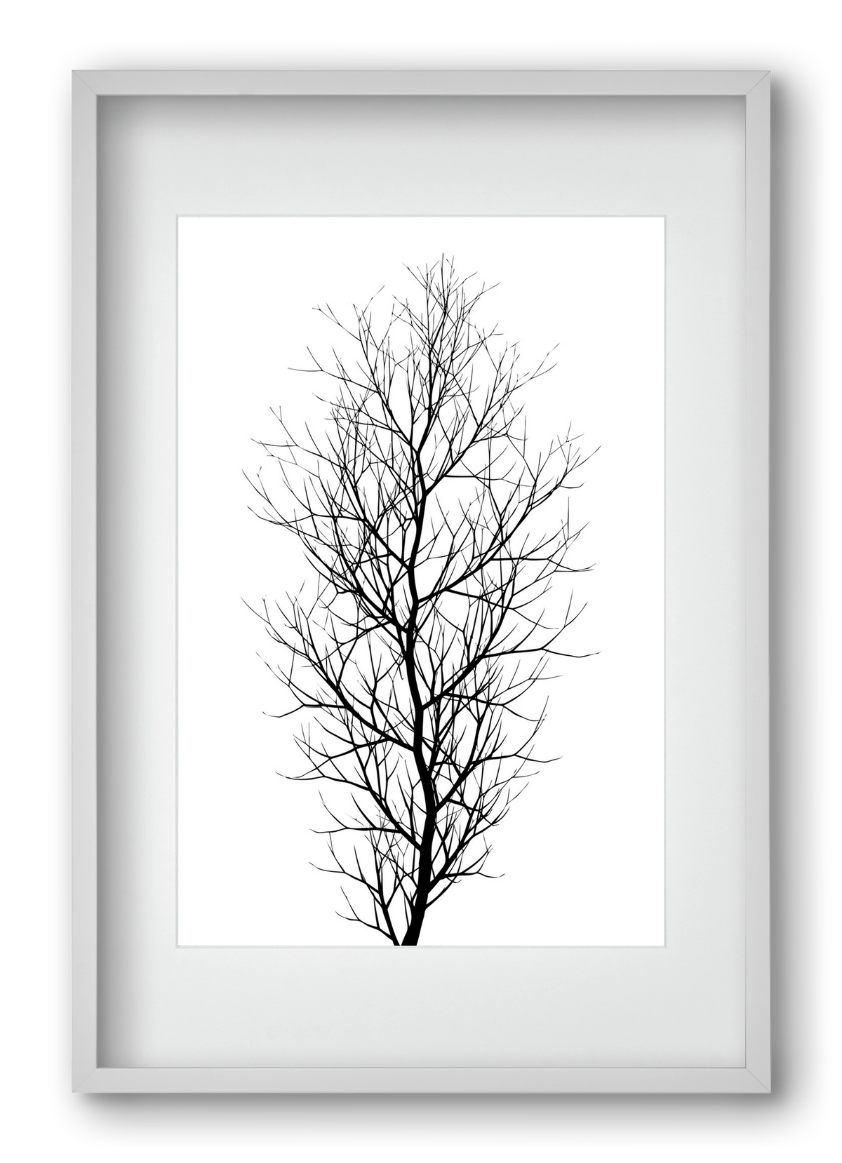 The tree, 40x60 cm (30x45 cm), Fehér keret, paszpartuval