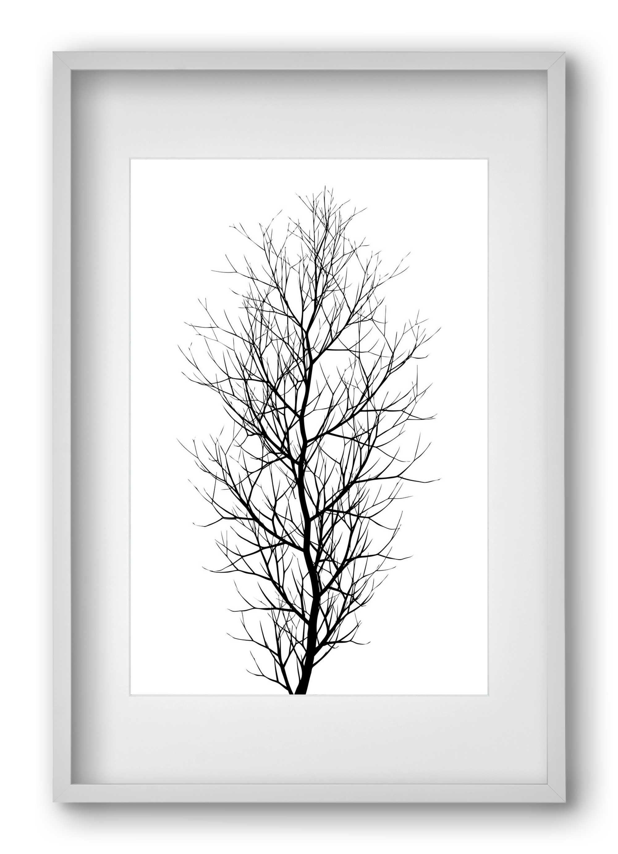 The tree, 40x60 cm (30x45 cm), Fehér keret, paszpartuval