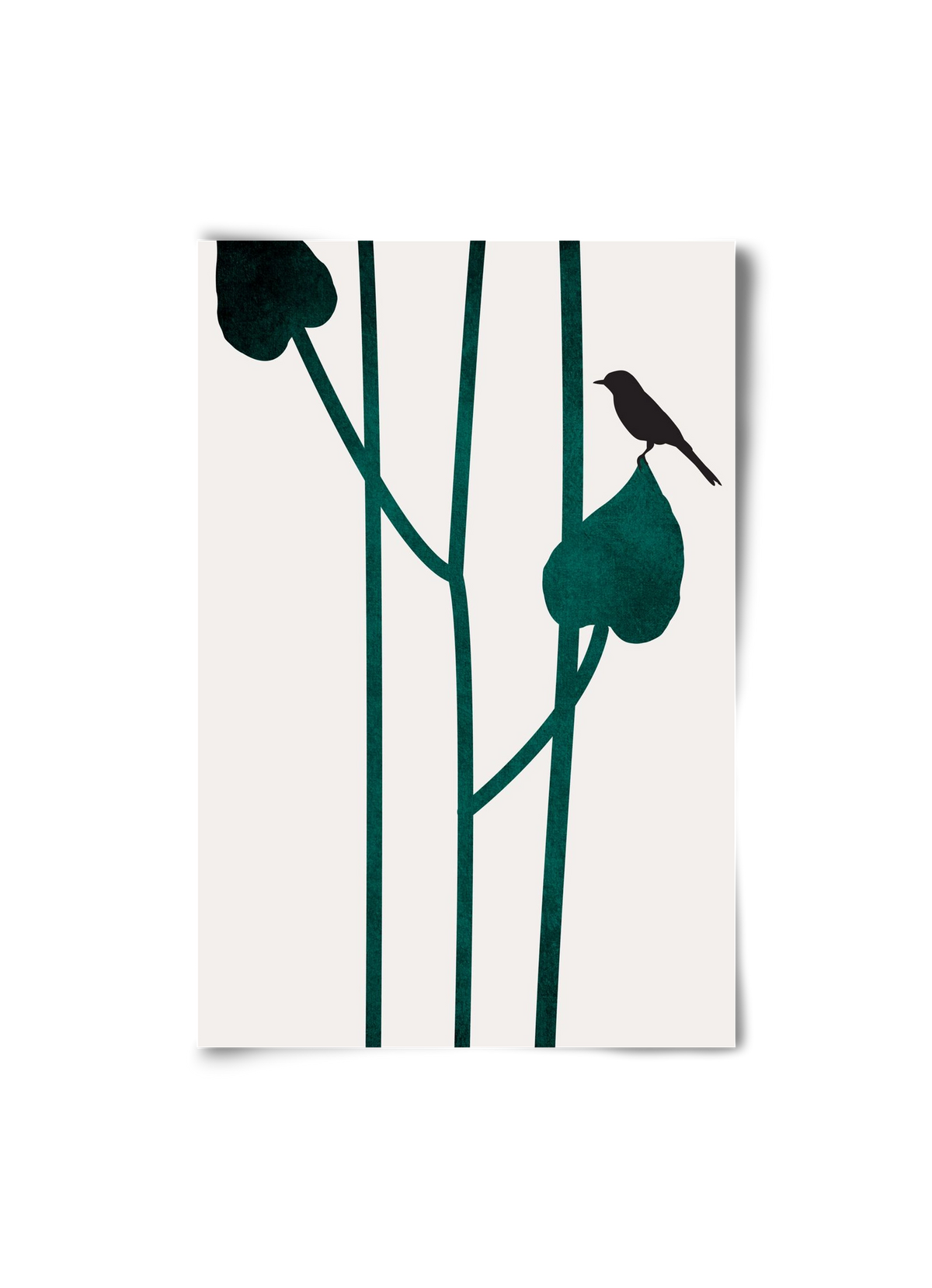 The bird, 20x30 cm, Keret nélkül