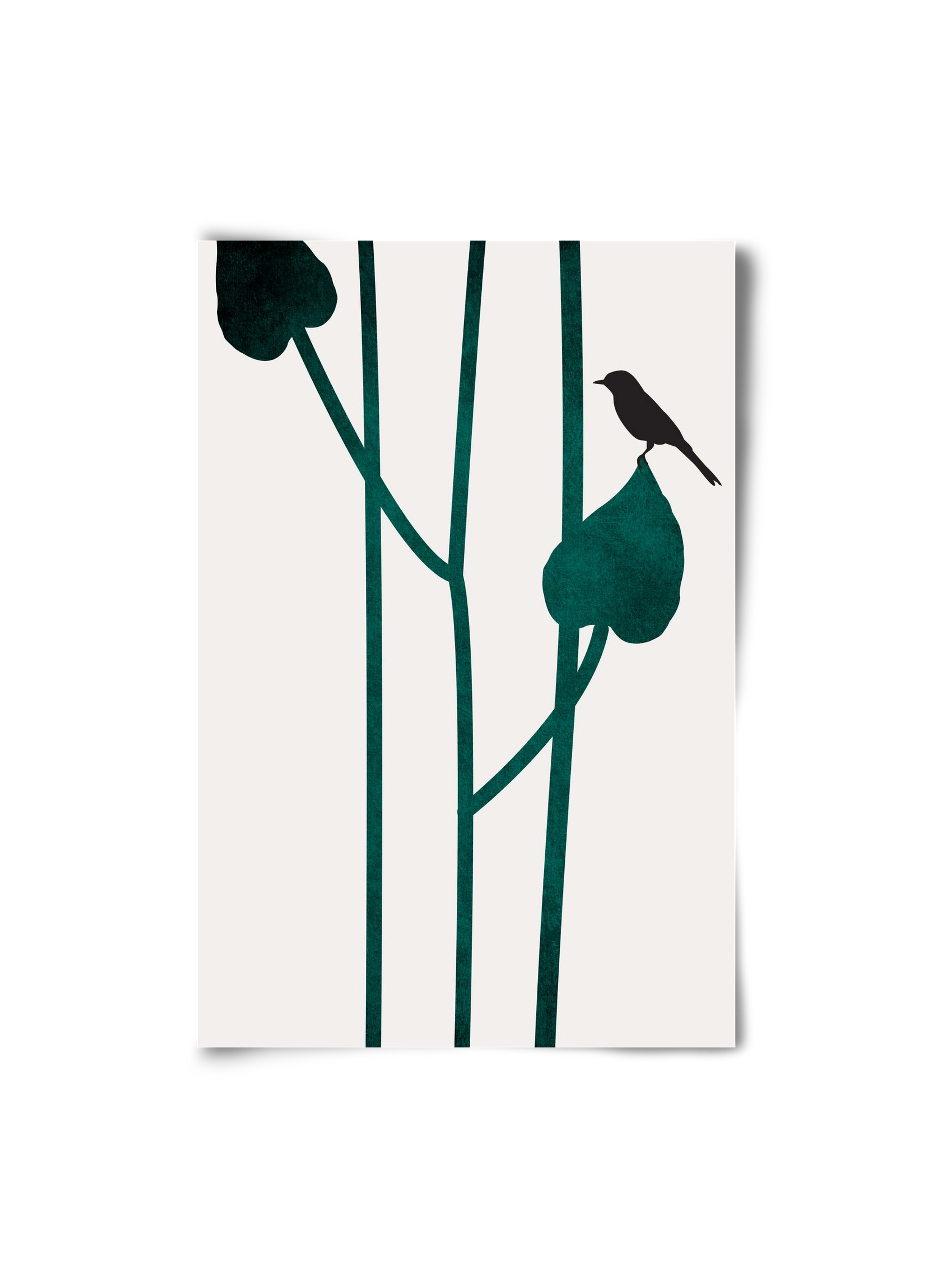 The bird, 20x30 cm, Keret nélkül