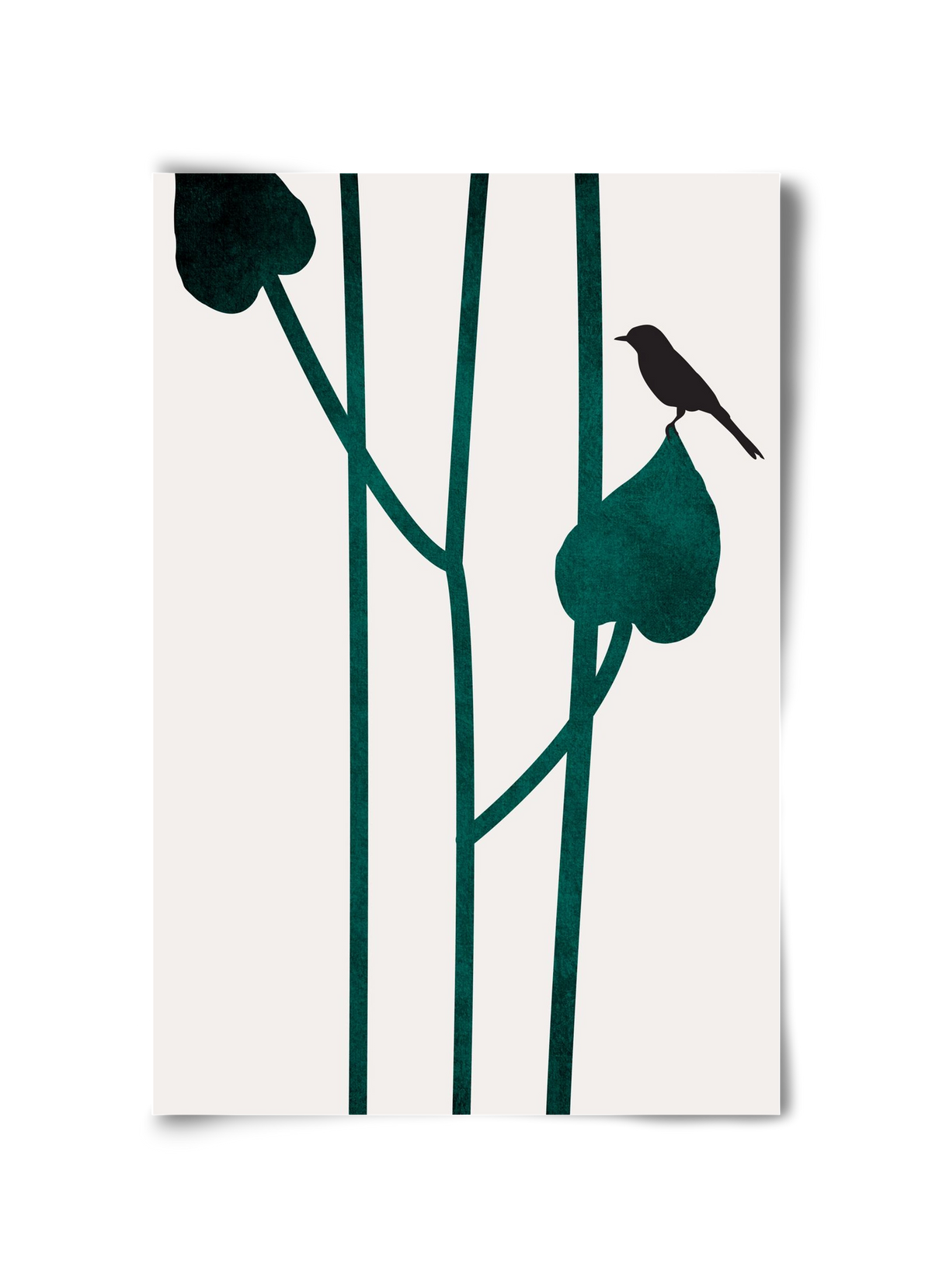 The bird, 30x45 cm, Keret nélkül