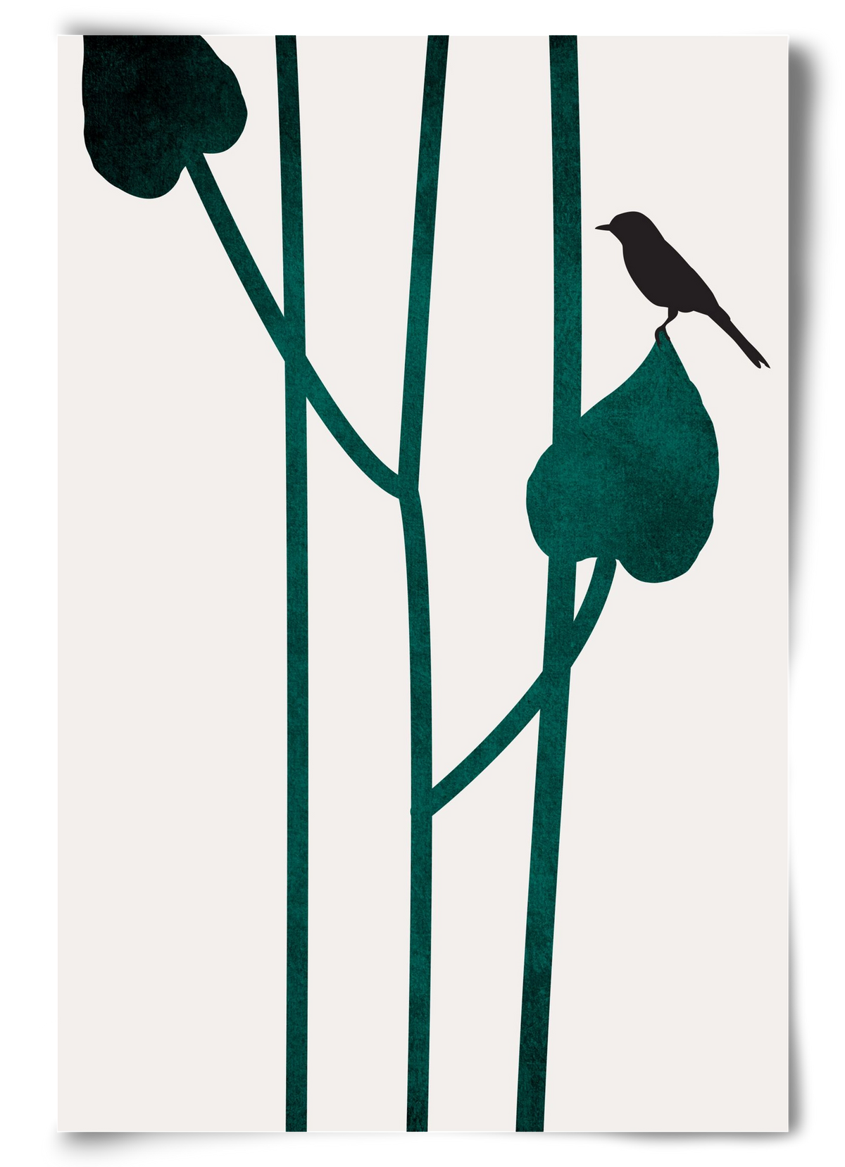 The bird, 60x90 cm, Keret nélkül