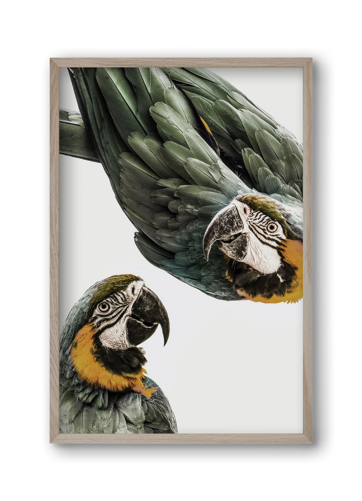 Amazonia, 30x45 cm (30x45 cm), Tölgy keret