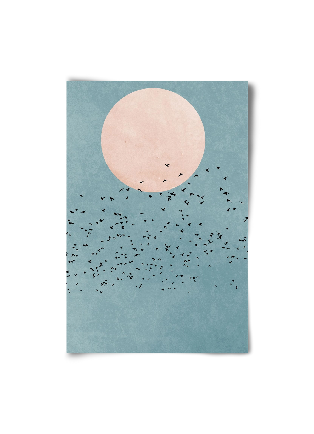 Fly away, 20x30 cm, Keret nélkül